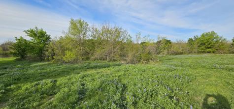 Tbd County Road 212 Coolidge TX 76635