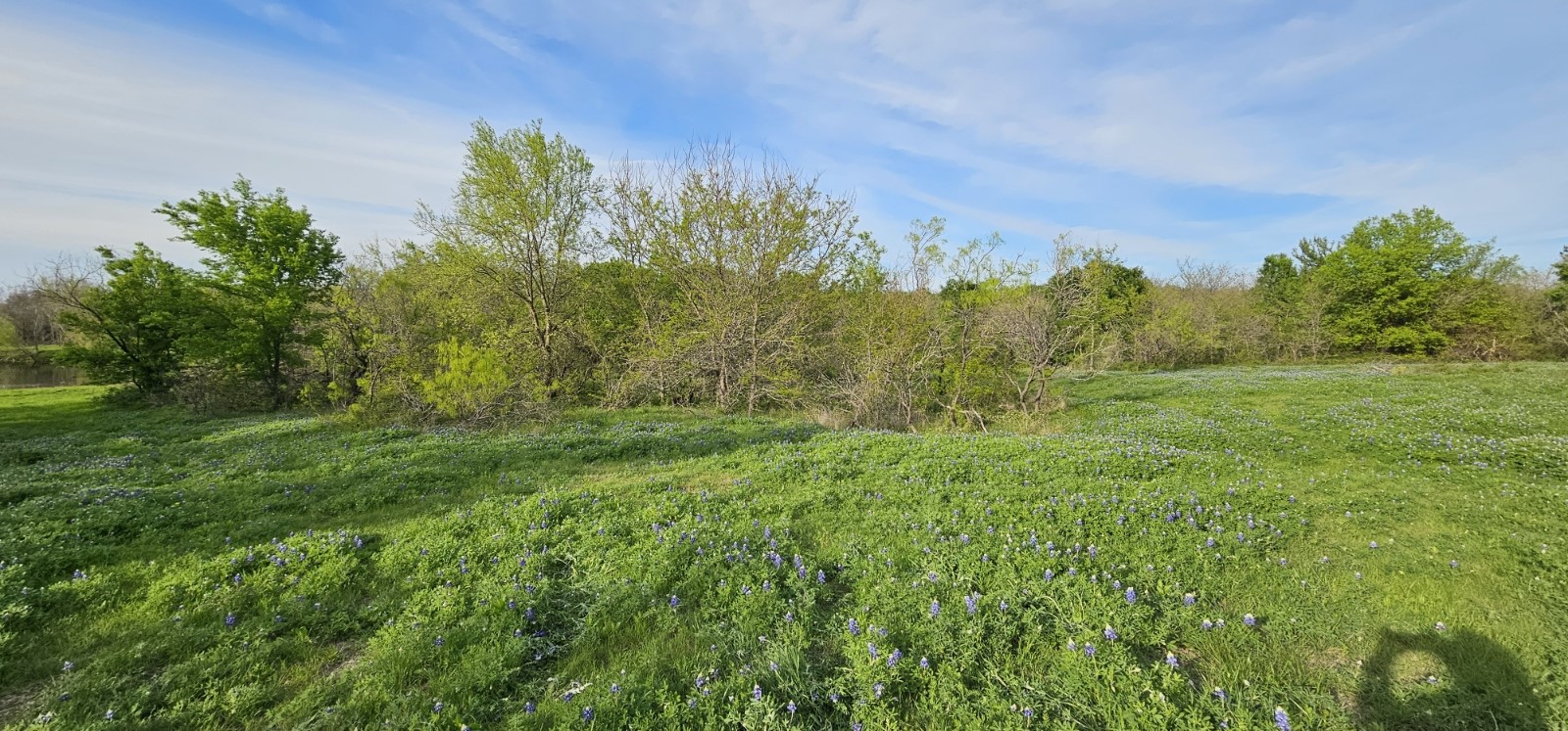 Tbd County Road 212 Coolidge TX 76635