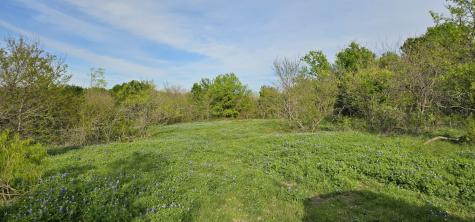 Tbd County Road 212 Coolidge TX 76635