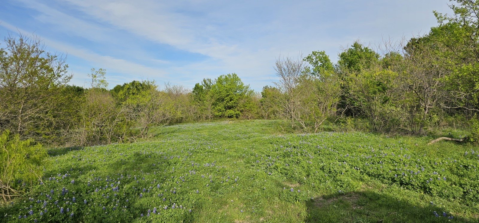 Tbd County Road 212 Coolidge TX 76635