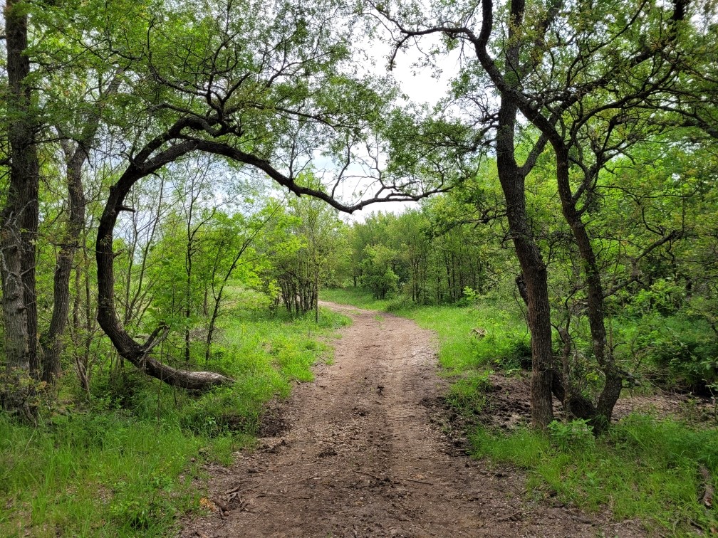 Tbd County Road 212 Coolidge TX 76635