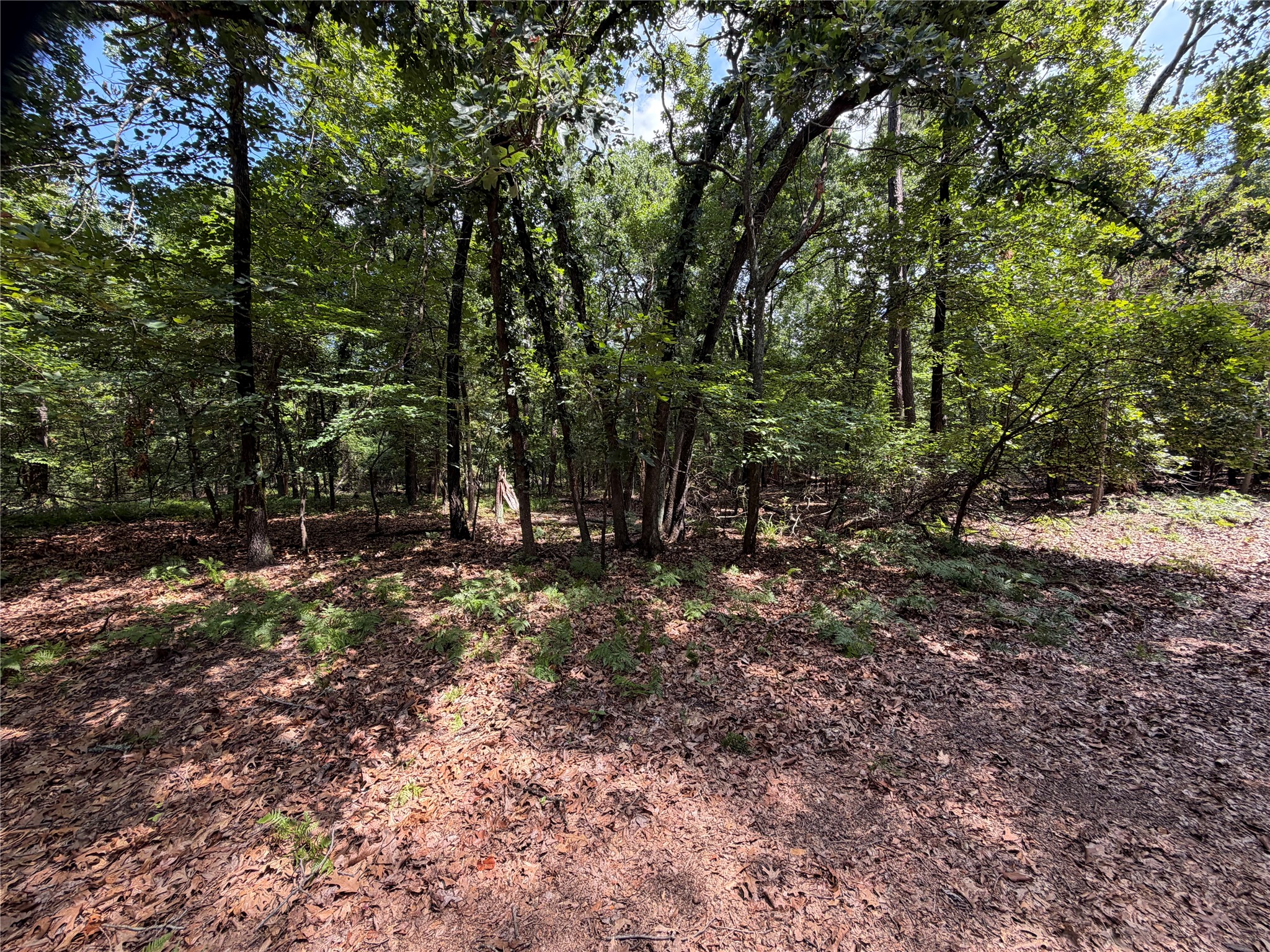 Lot 29 & 30 King Arthur Court Scroggins TX 75480