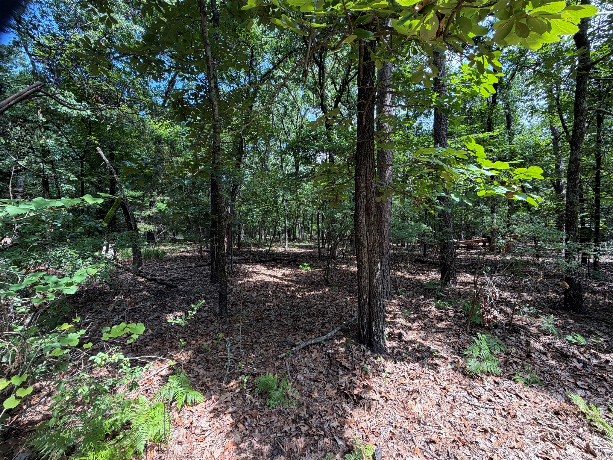 Lot 29 & 30 King Arthur Court Scroggins TX 75480