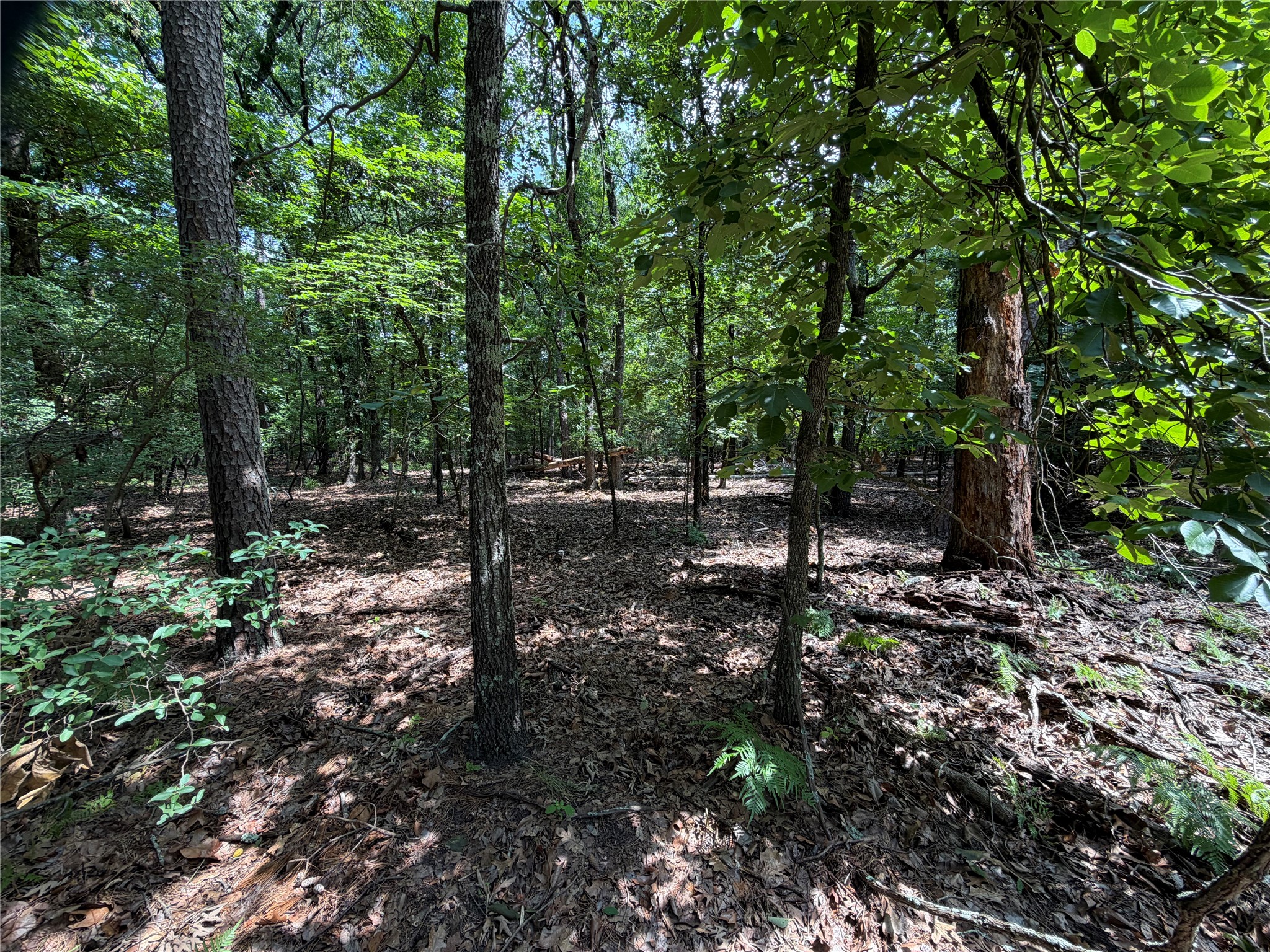 Lot 29 & 30 King Arthur Court Scroggins TX 75480