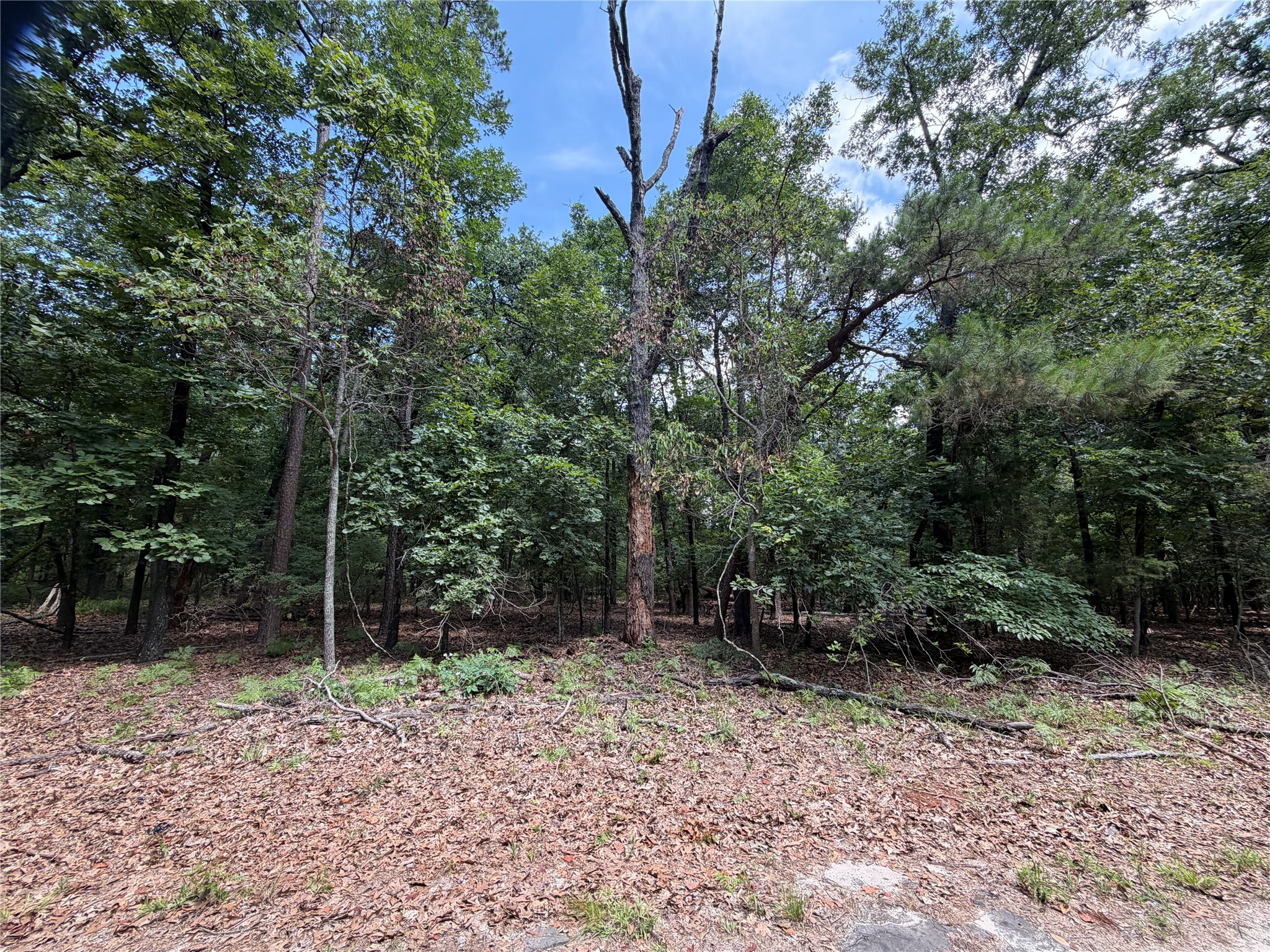 Lot 29 & 30 King Arthur Court Scroggins TX 75480