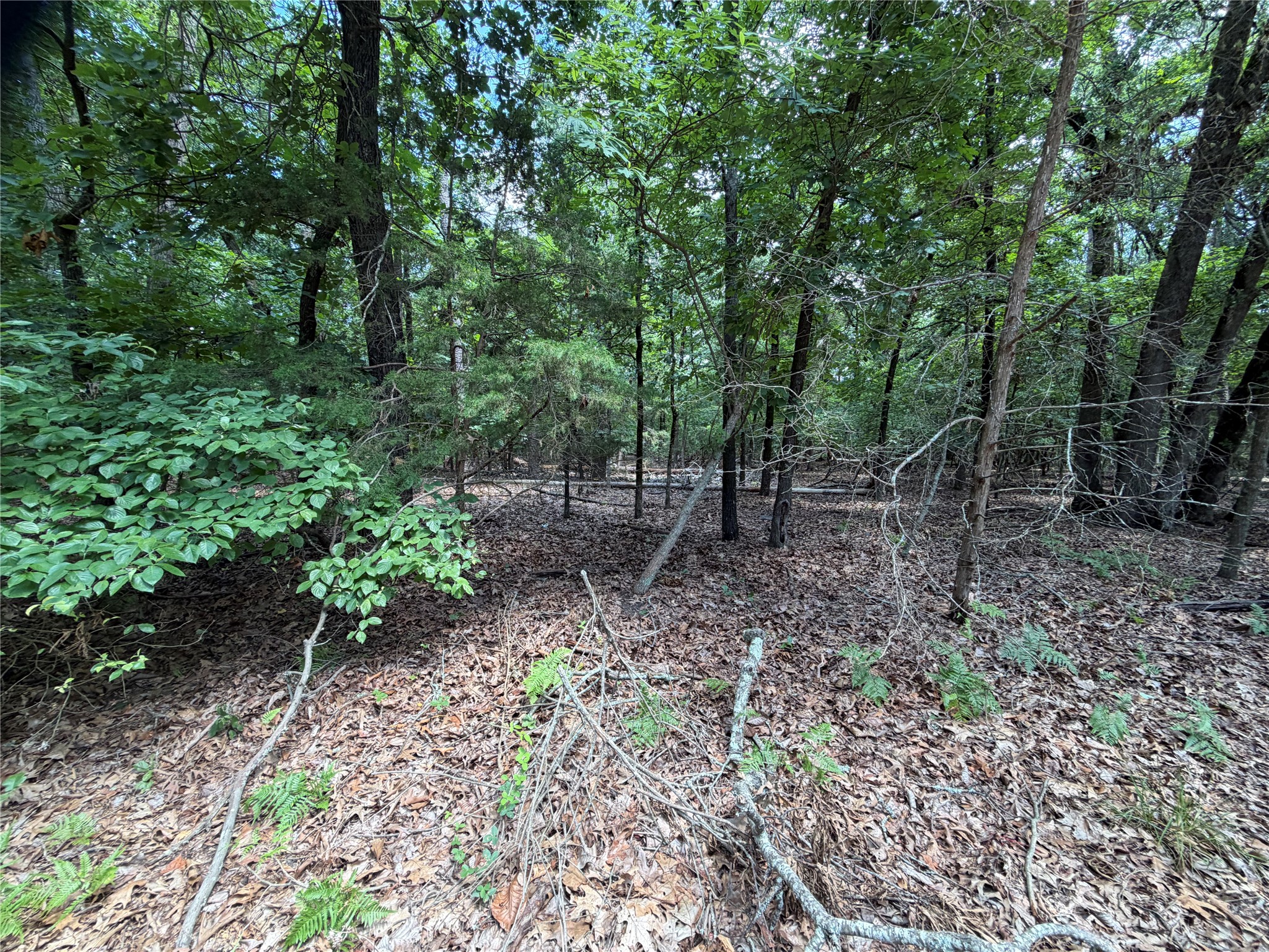 Lot 29 & 30 King Arthur Court Scroggins TX 75480