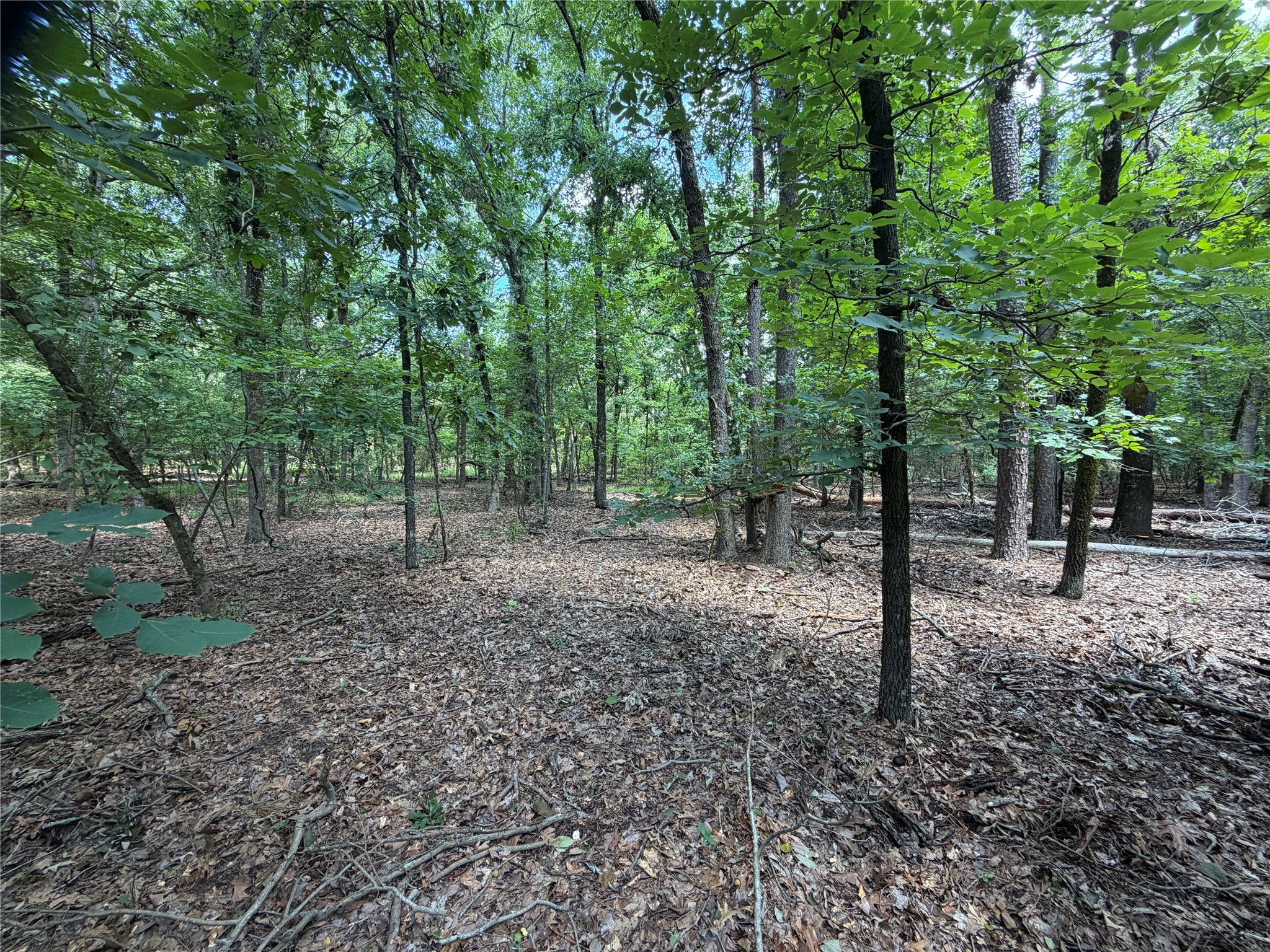 Lot 29 & 30 King Arthur Court Scroggins TX 75480