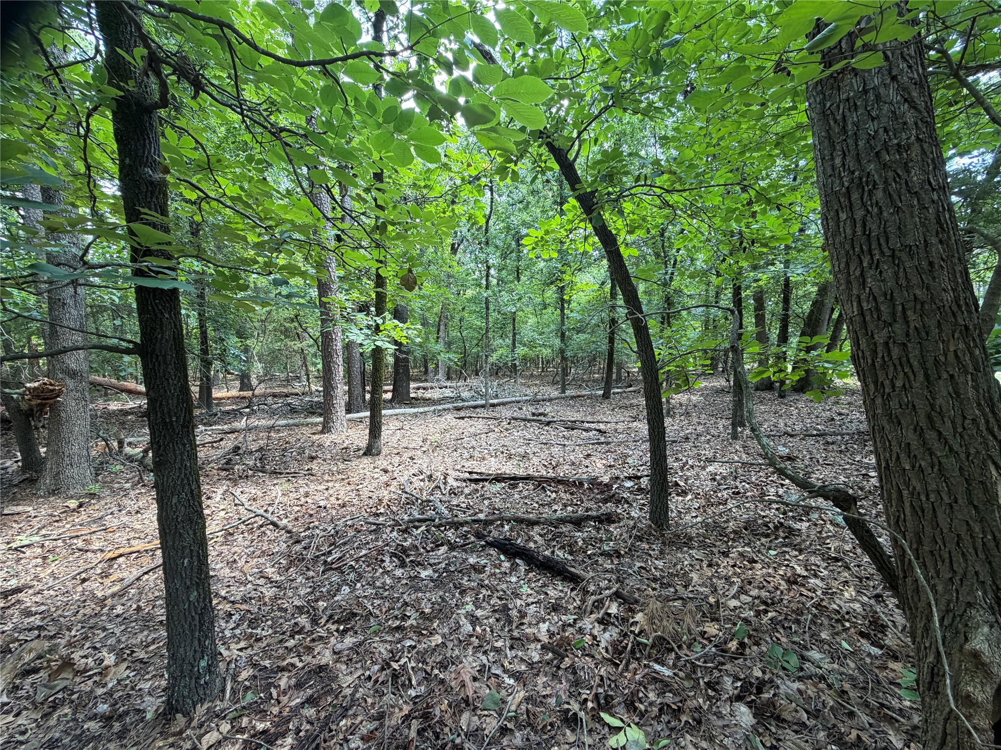 Lot 29 & 30 King Arthur Court Scroggins TX 75480