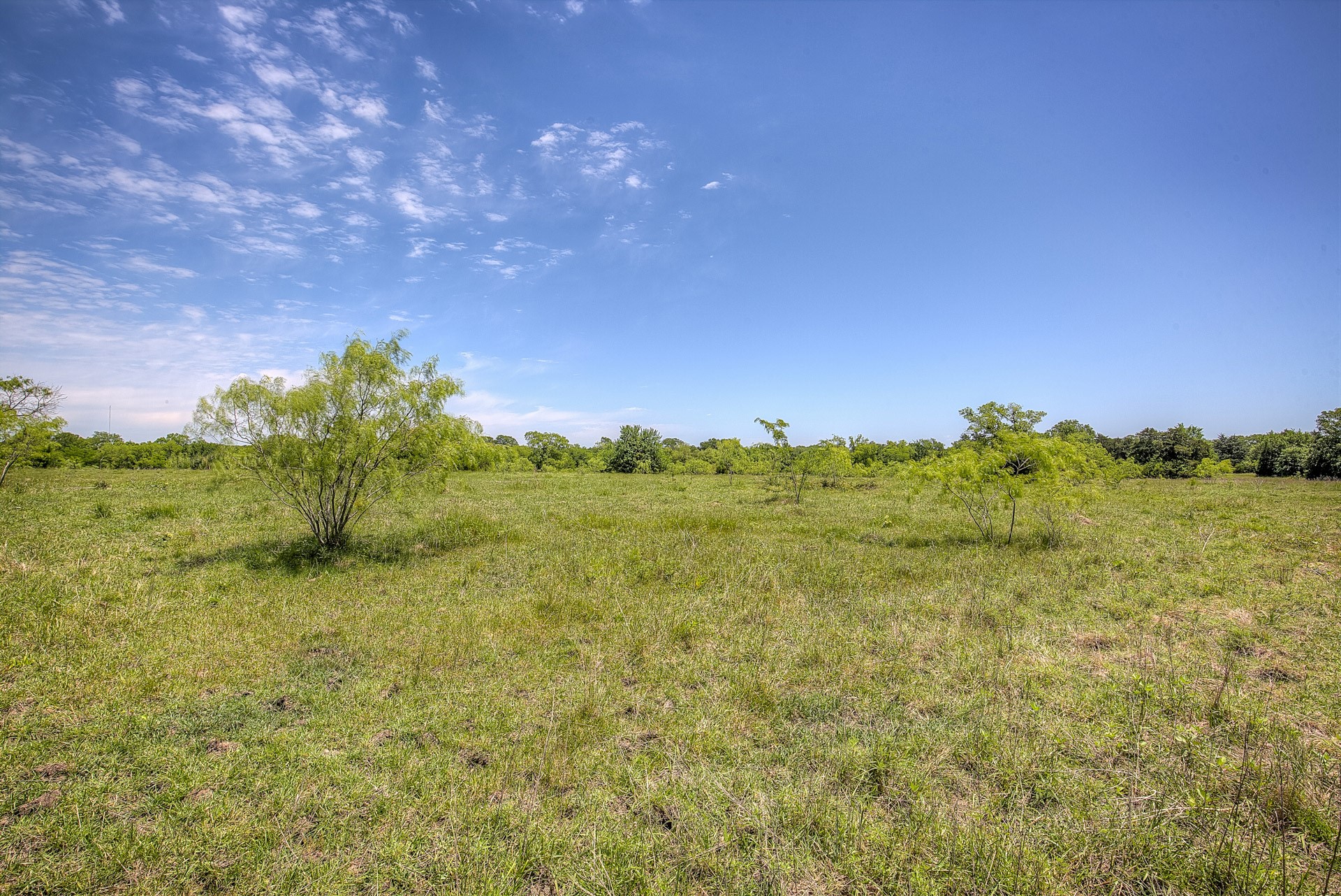 Lot 2 Fm 429 Terrell TX 75161