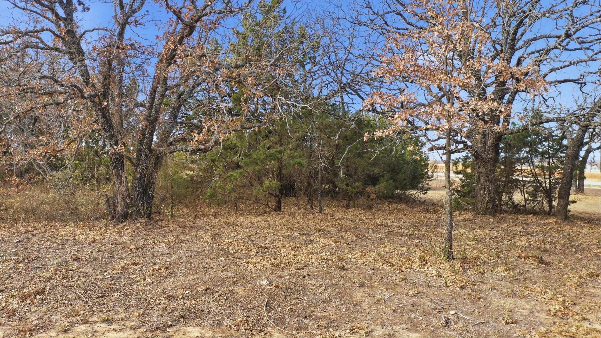 Tbd Dps Tower Perrin TX 76486