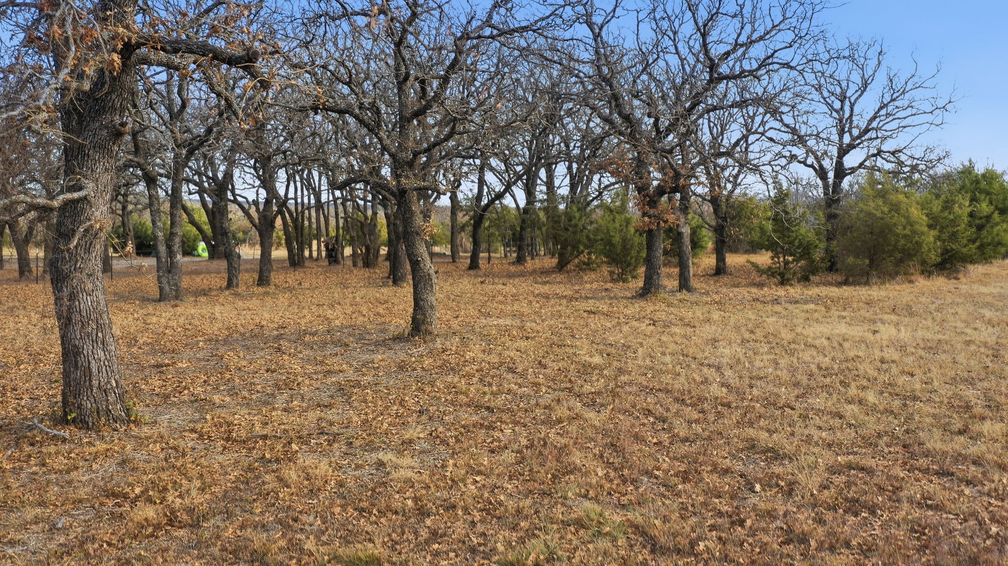 Tbd Dps Tower Perrin TX 76486