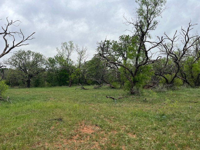 W. 23 Hoffman Road Loving TX 76460