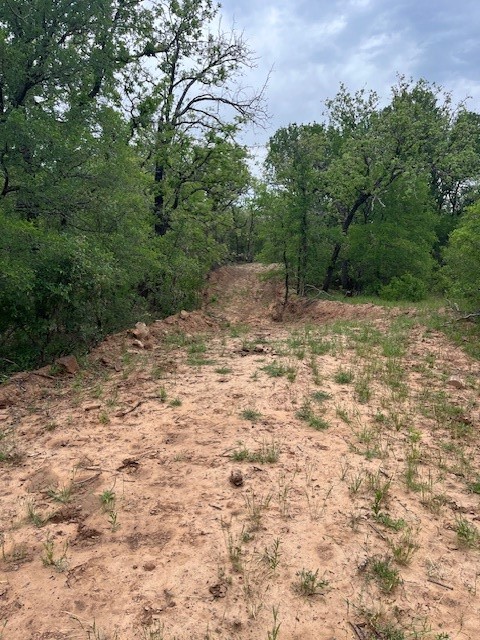 W. 23 Hoffman Road Loving TX 76460
