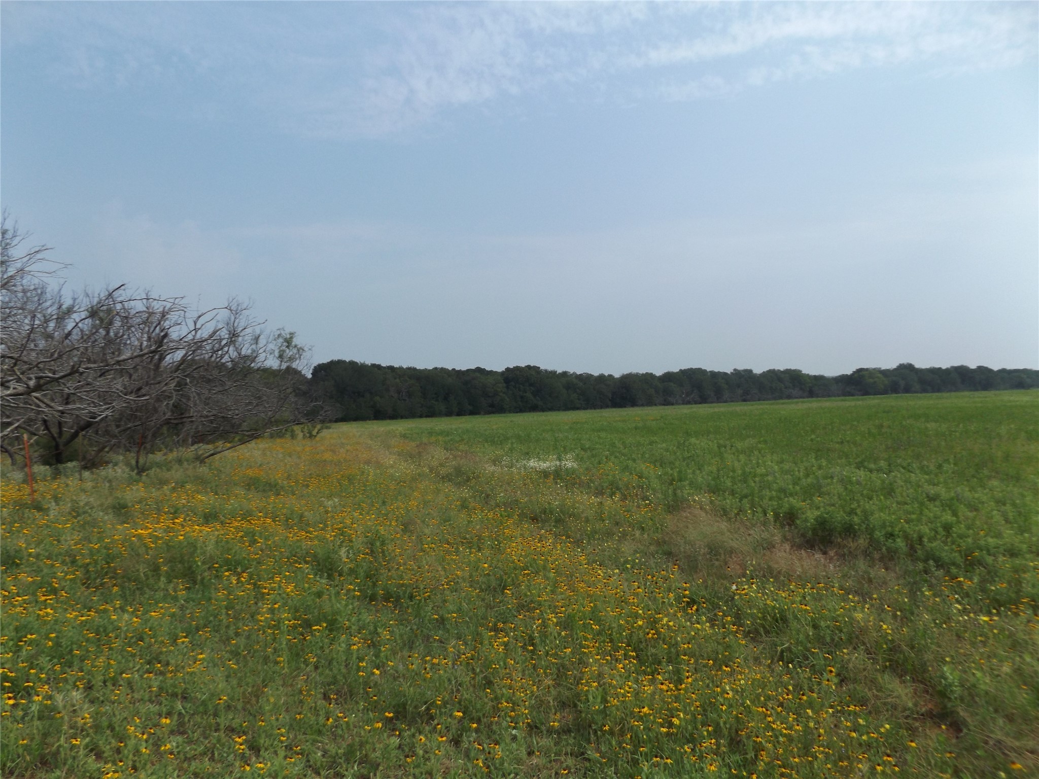 W. 23 Hoffman Road Loving TX 76460