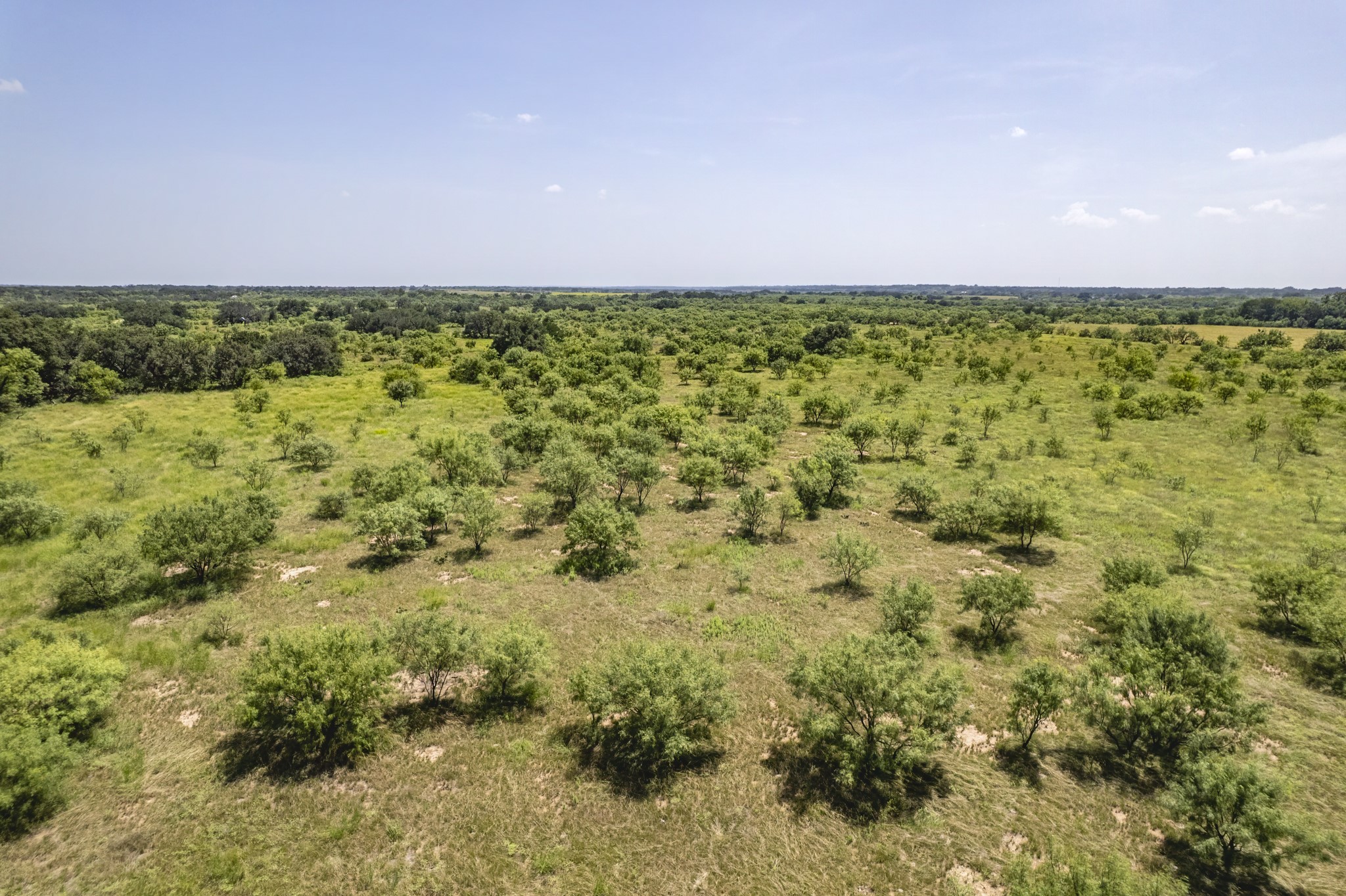 Tbd County Road 196 Bangs TX 76823