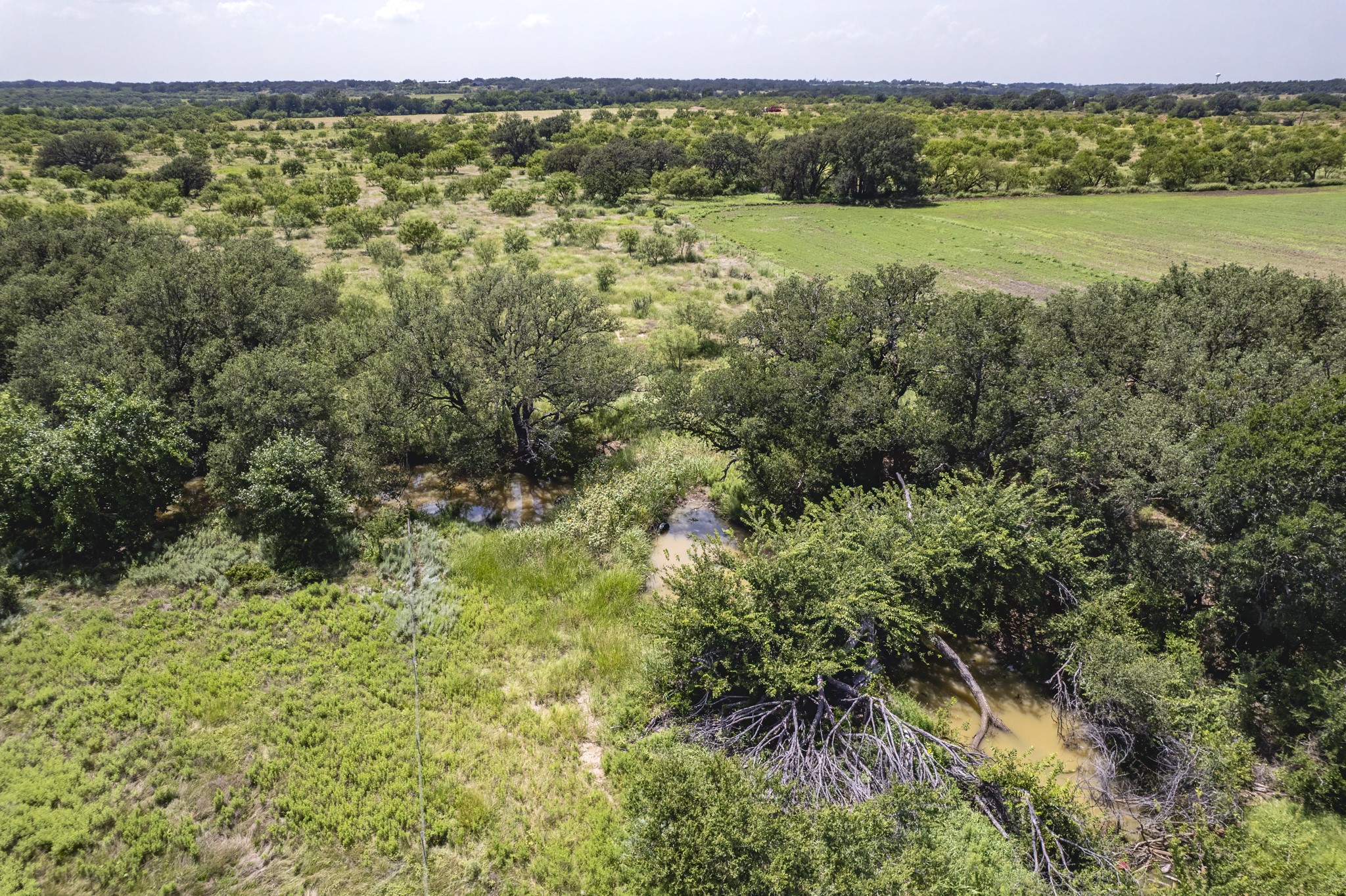 Tbd County Road 196 Bangs TX 76823