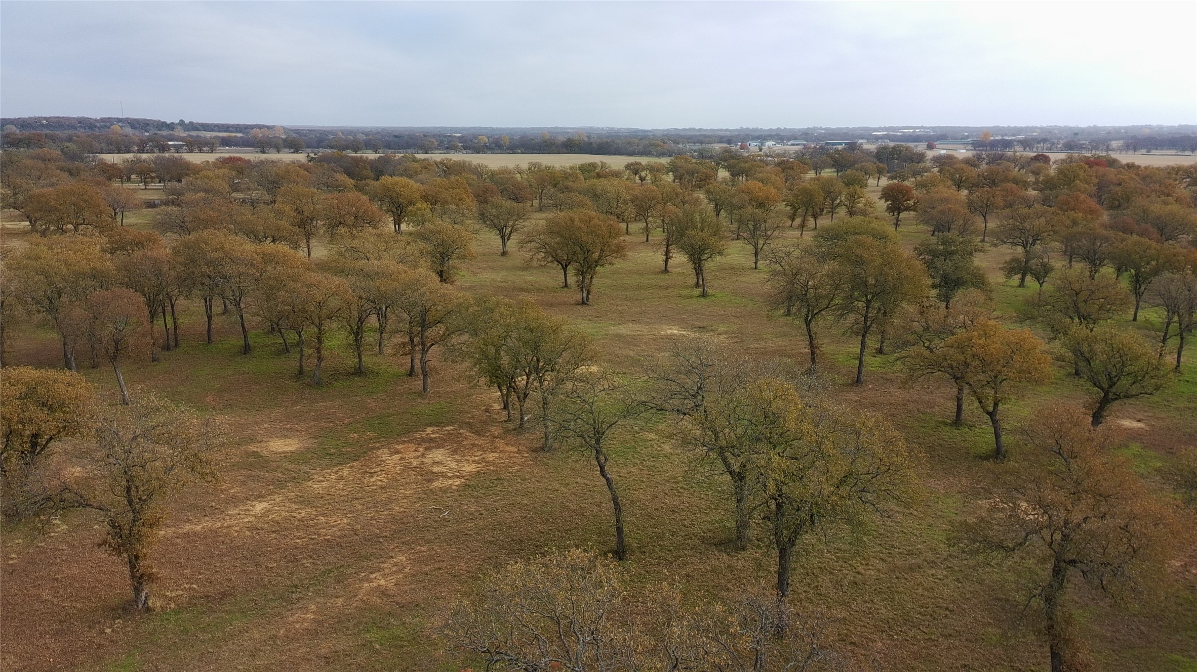 1551 Wilson Bend Road Millsap TX 76066