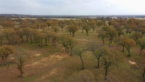1551 Wilson Bend Road Millsap TX 76066