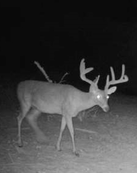 0000 County Road 119 Hico TX 76457