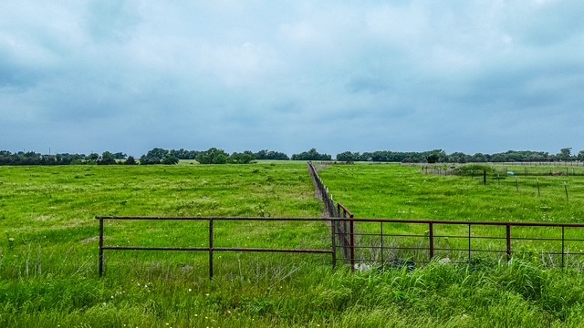 Tbd Tract 3 County Road 707 Leonard TX 75452