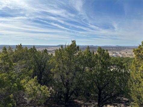 1397 Canyon Wren South Loop Graford TX 76449