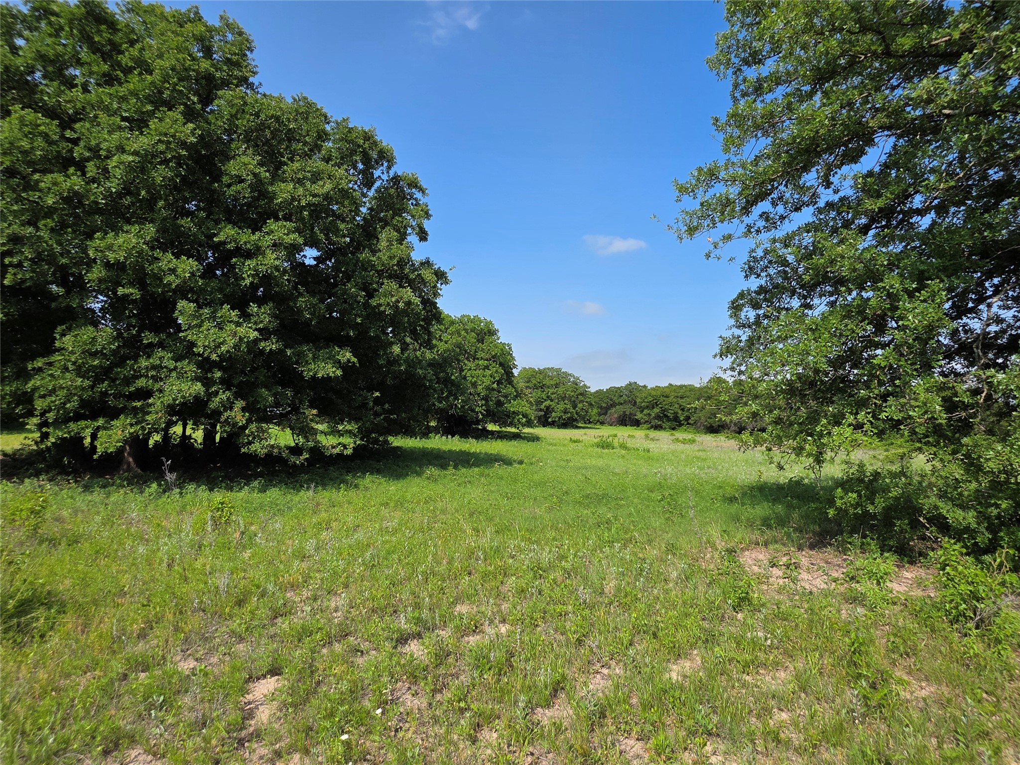 375 Ea Road Comanche TX 76442