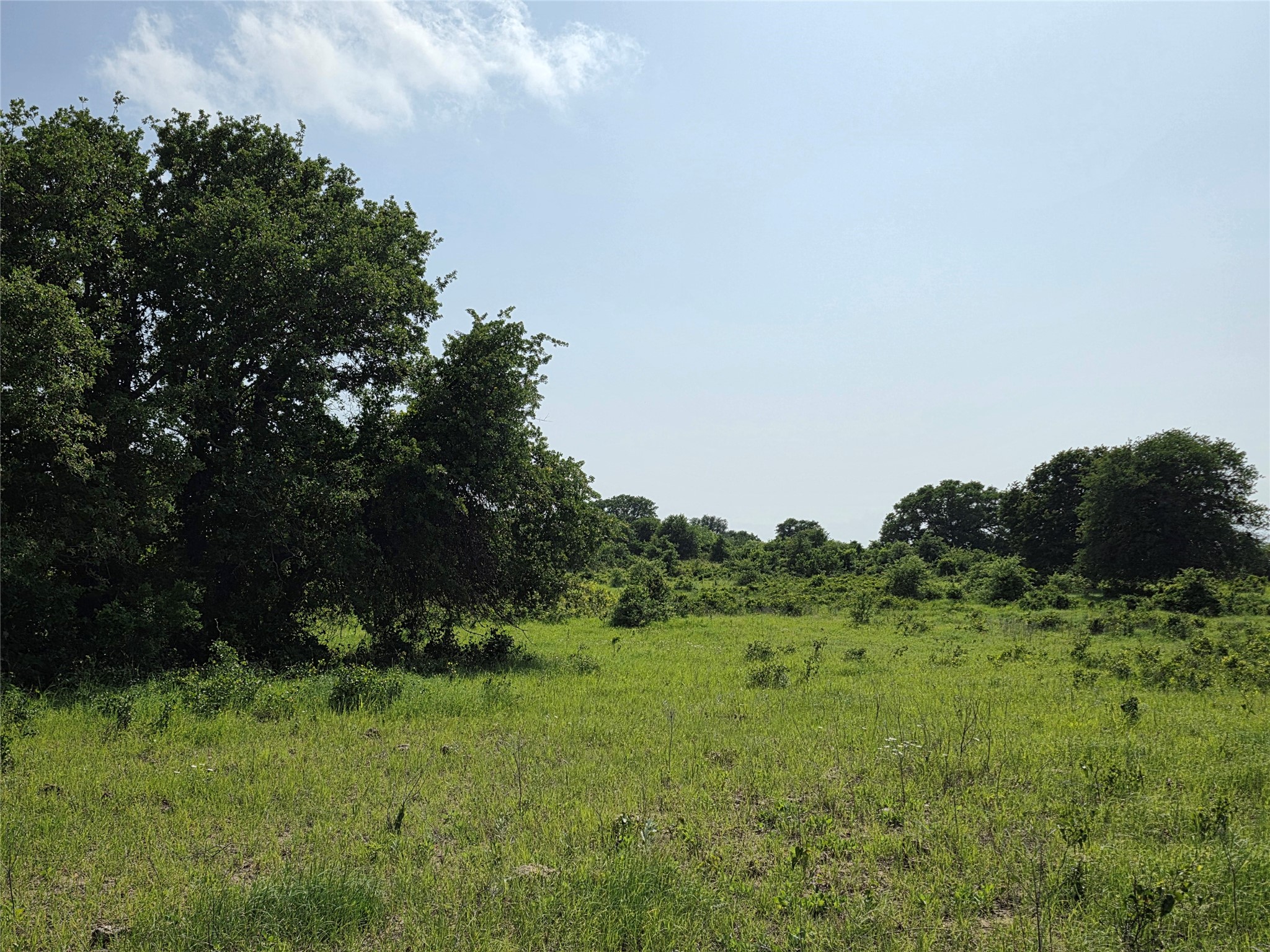 375 Ea Road Comanche TX 76442