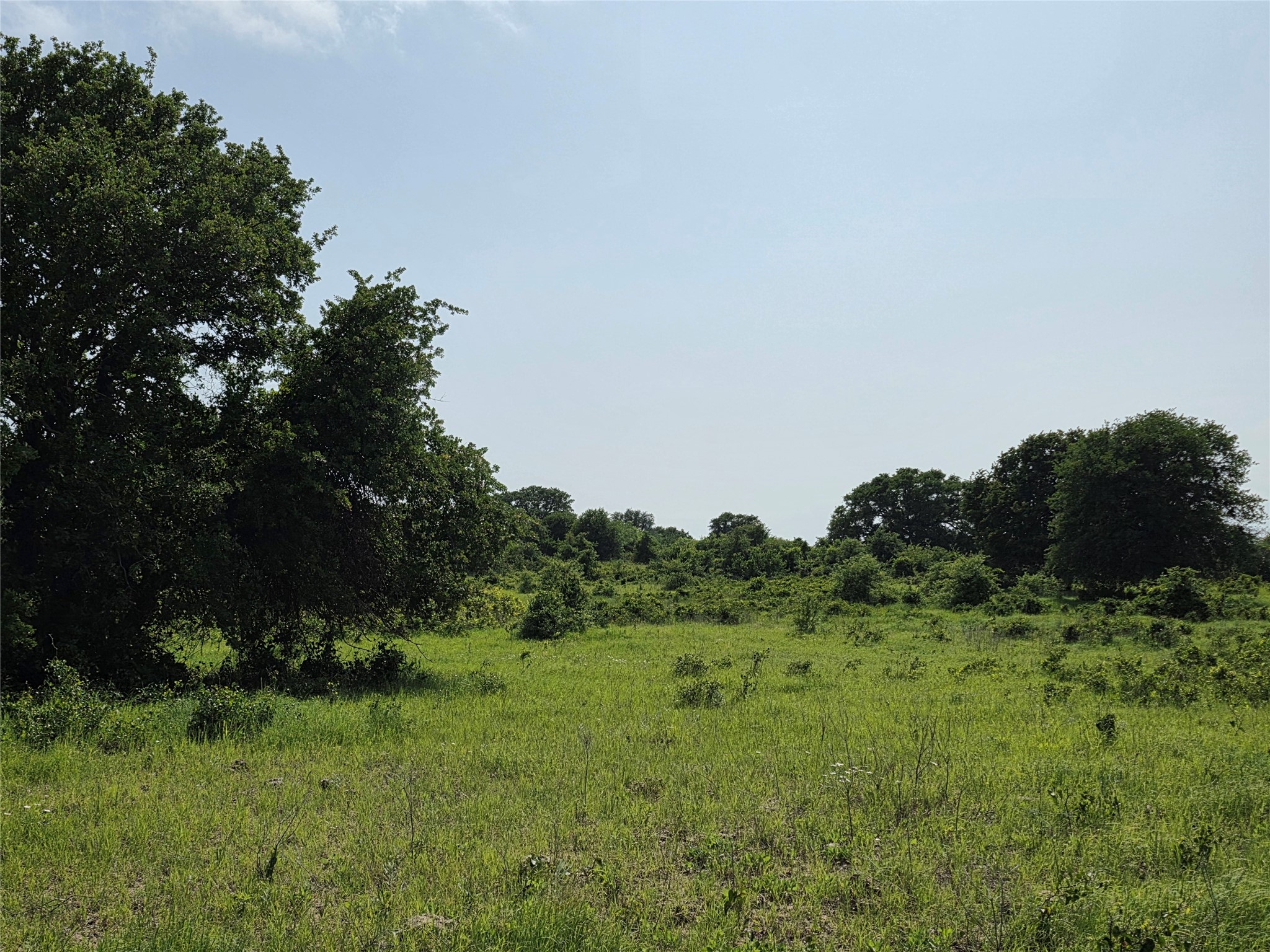 375 Ea Road Comanche TX 76442