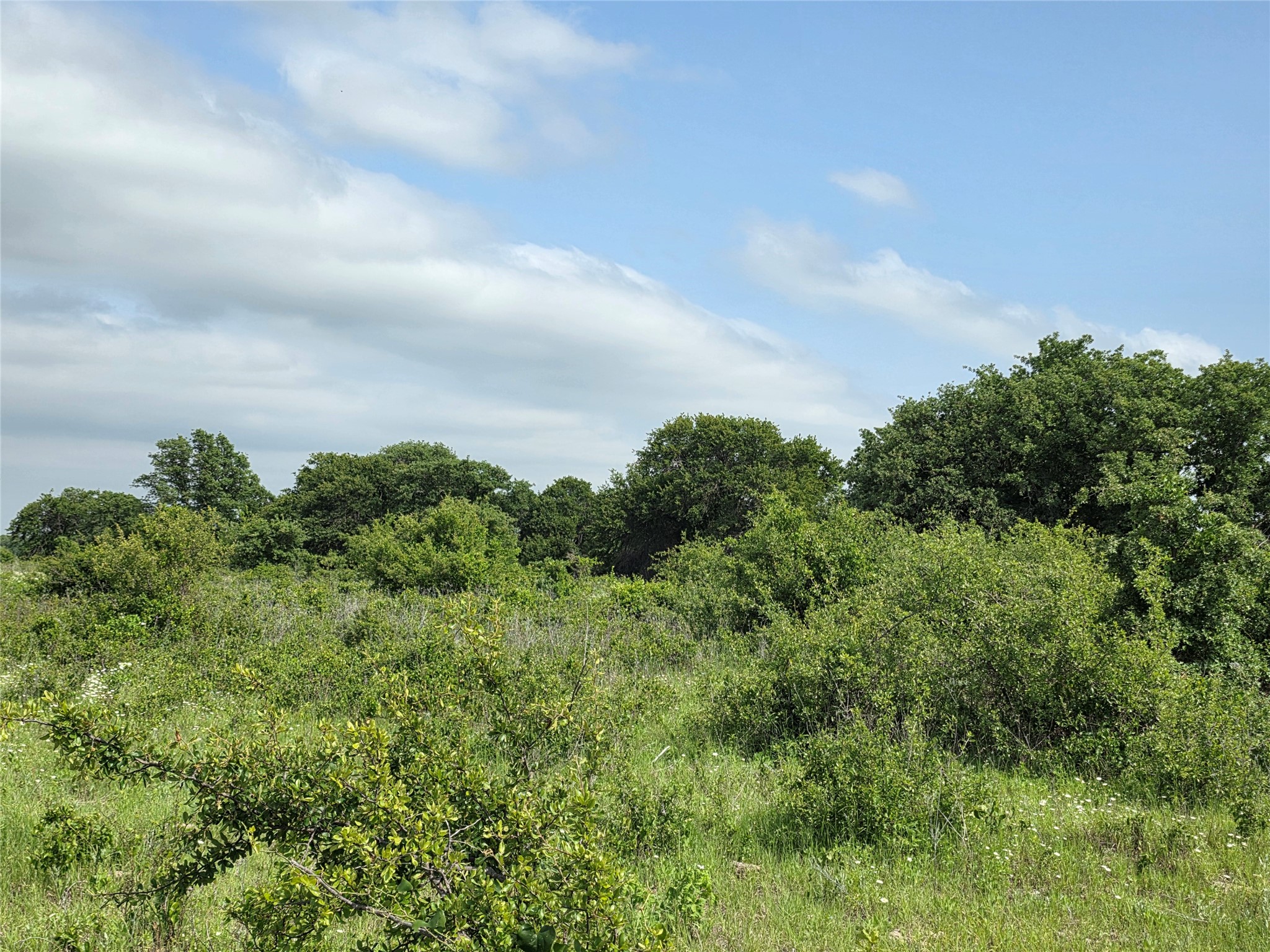 375 Ea Road Comanche TX 76442