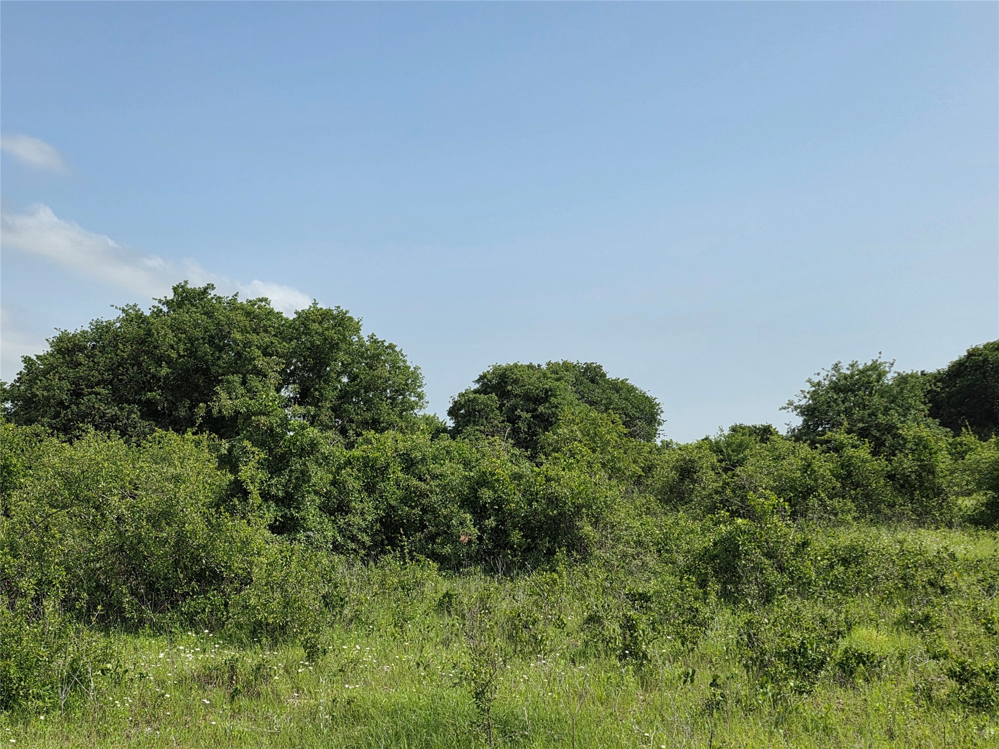 375 Ea Road Comanche TX 76442
