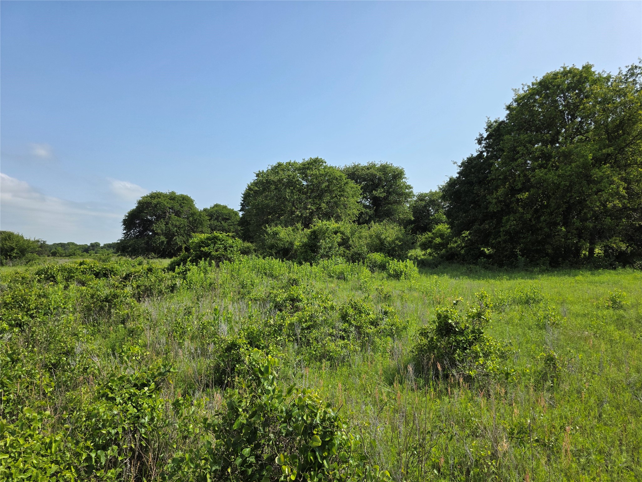 375 Ea Road Comanche TX 76442
