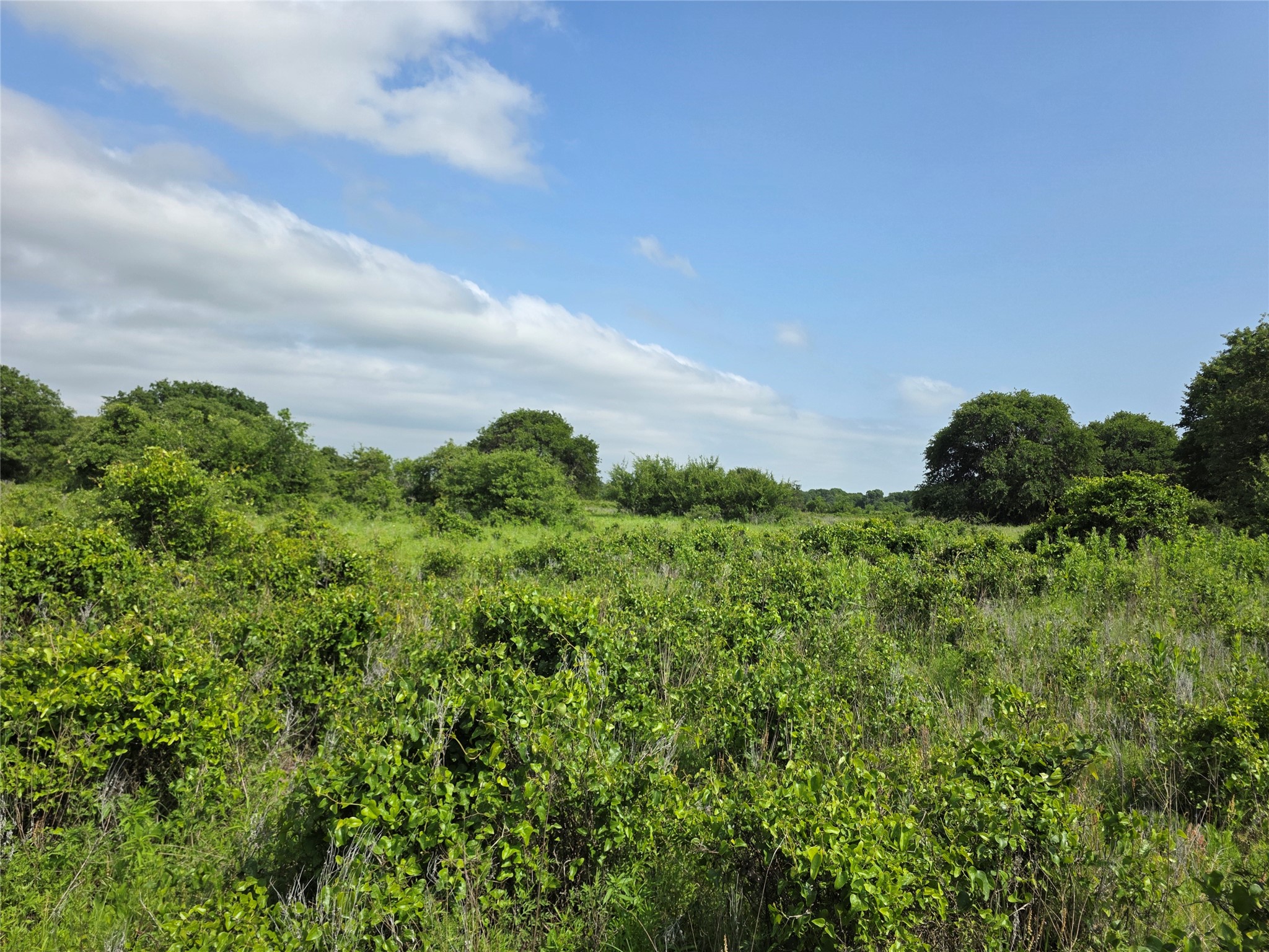 375 Ea Road Comanche TX 76442