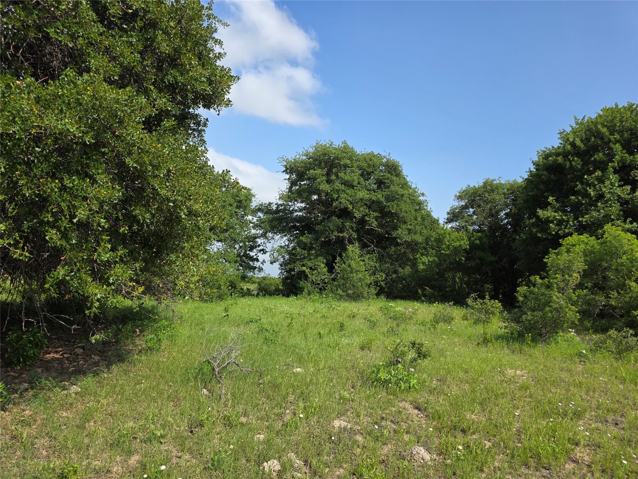 375 Ea Road Comanche TX 76442