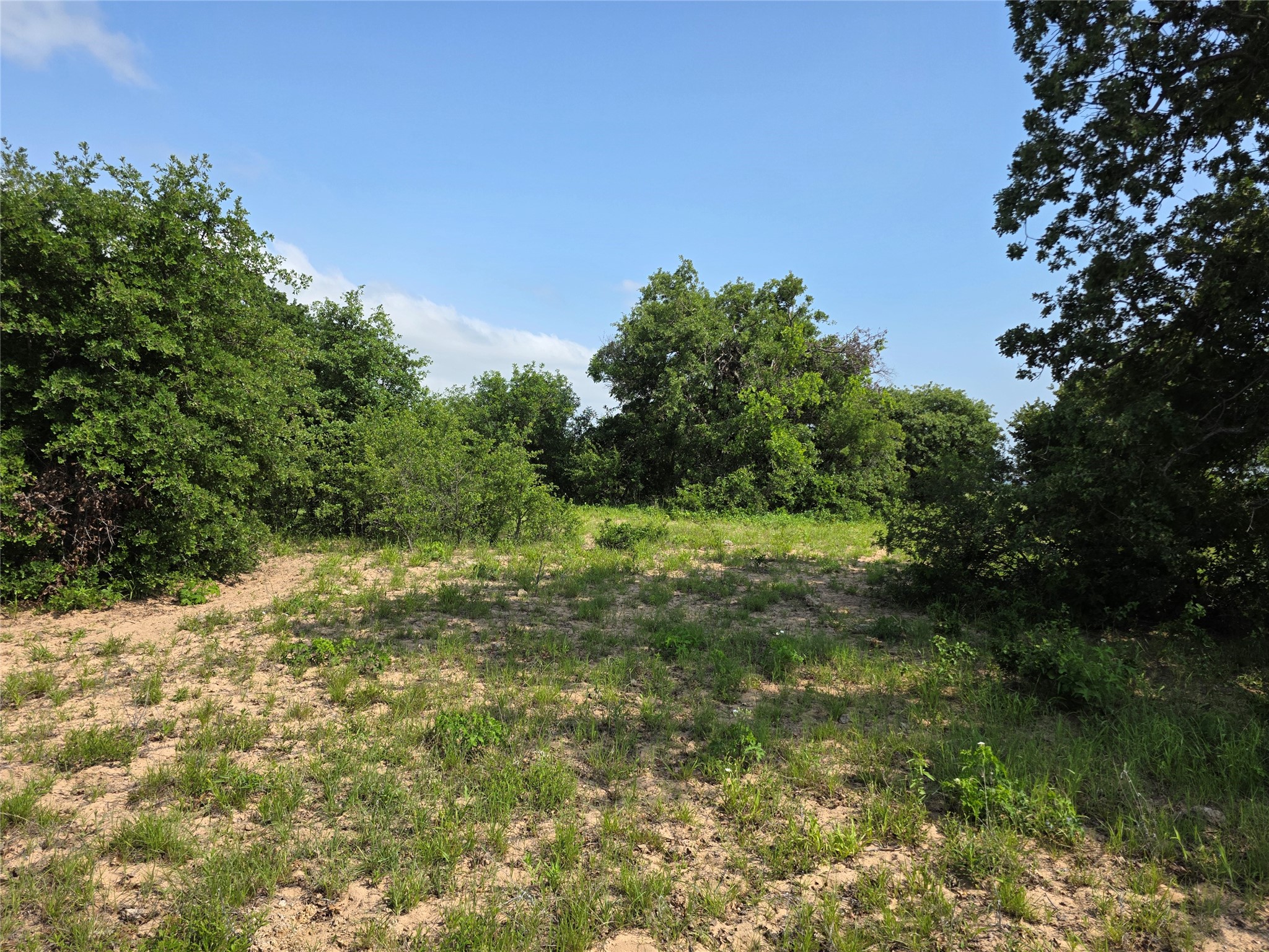 375 Ea Road Comanche TX 76442