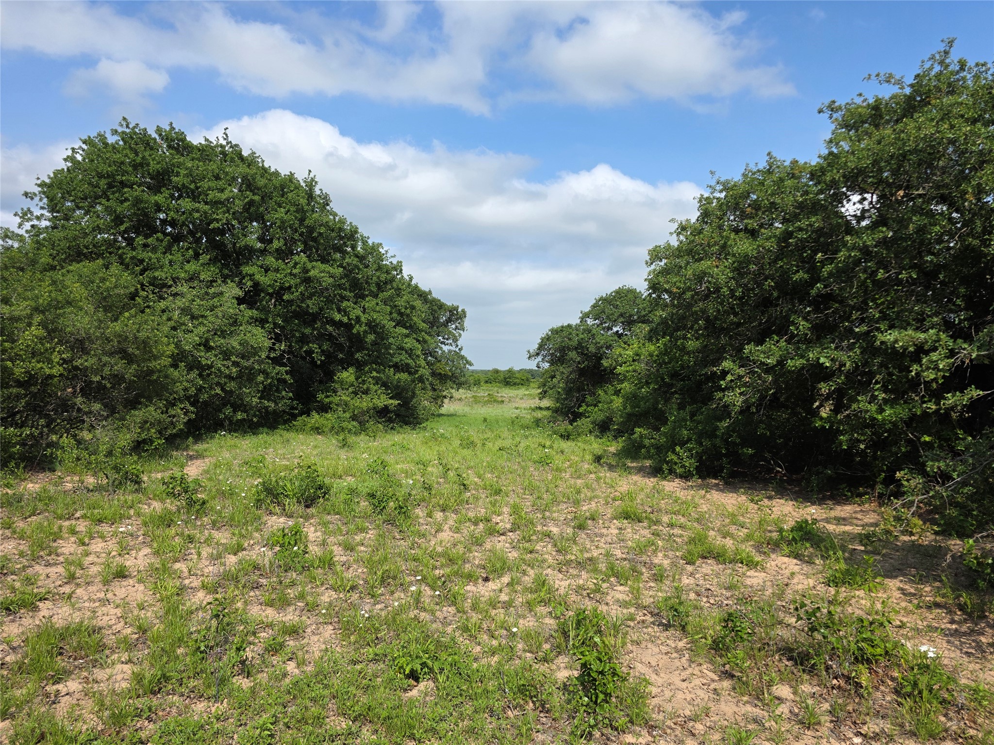 375 Ea Road Comanche TX 76442