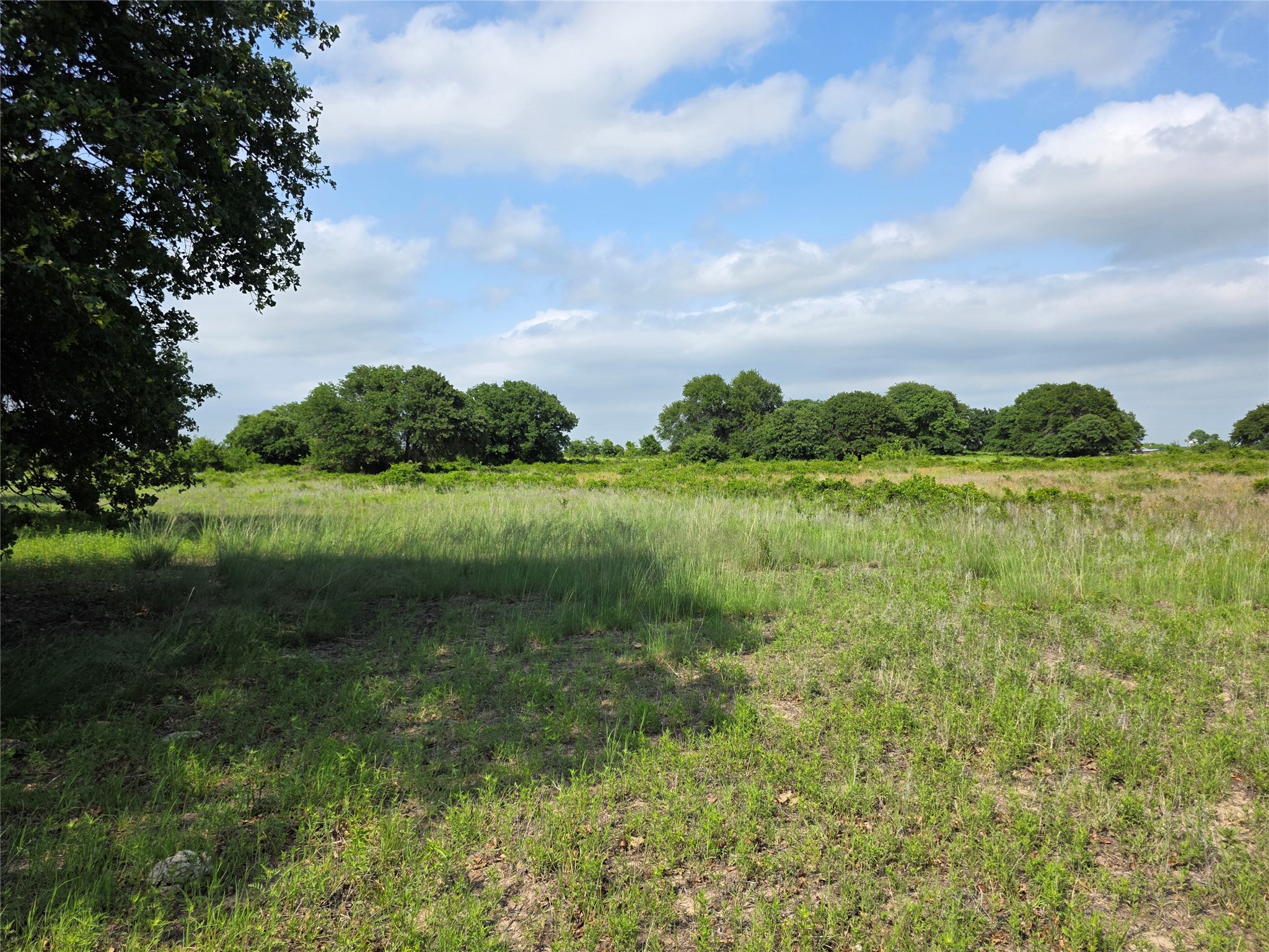 375 Ea Road Comanche TX 76442