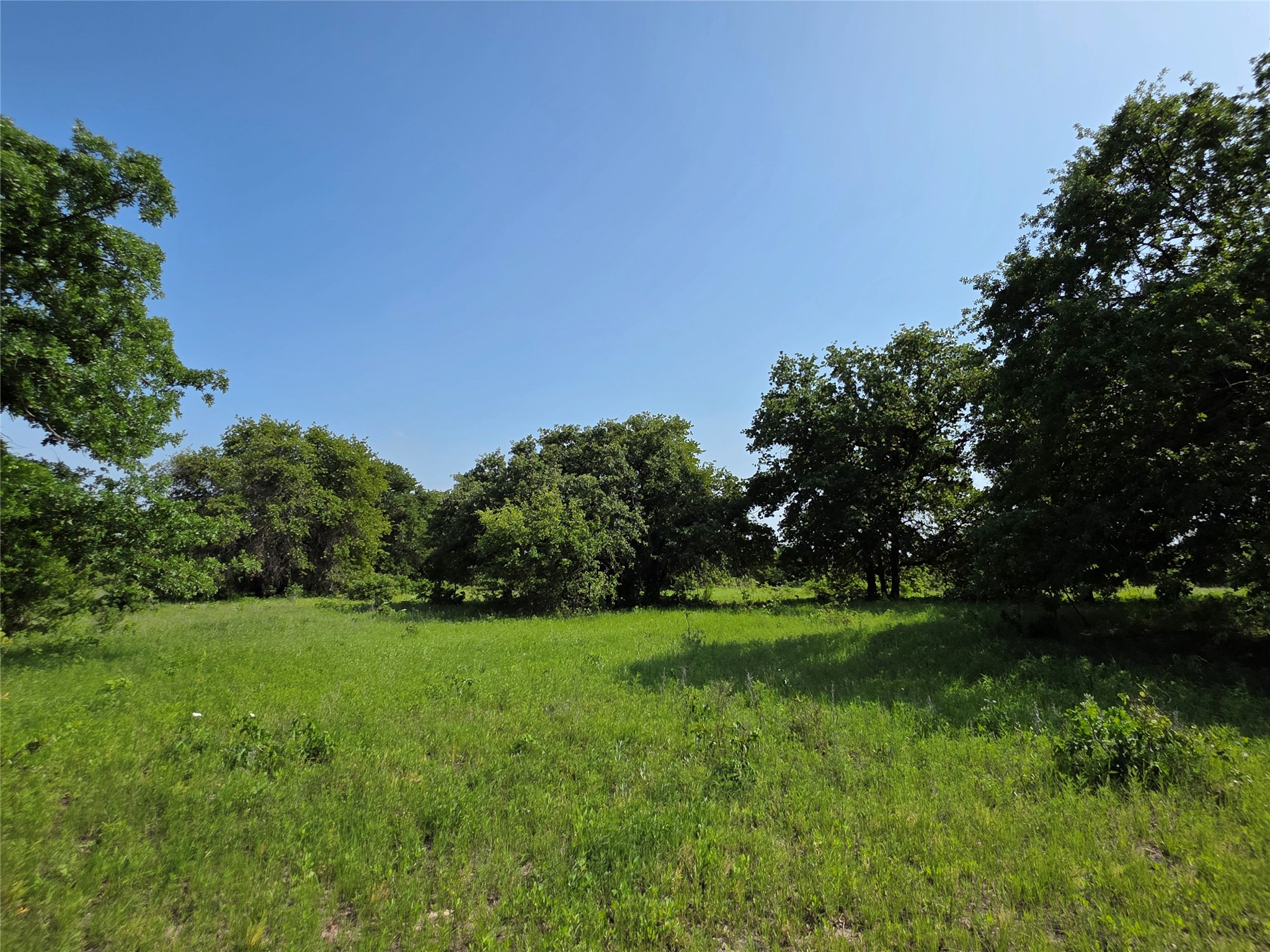 375 Ea Road Comanche TX 76442
