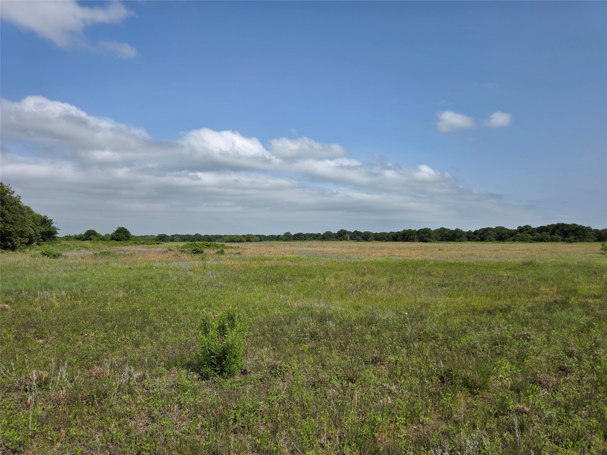 375 Ea Road Comanche TX 76442