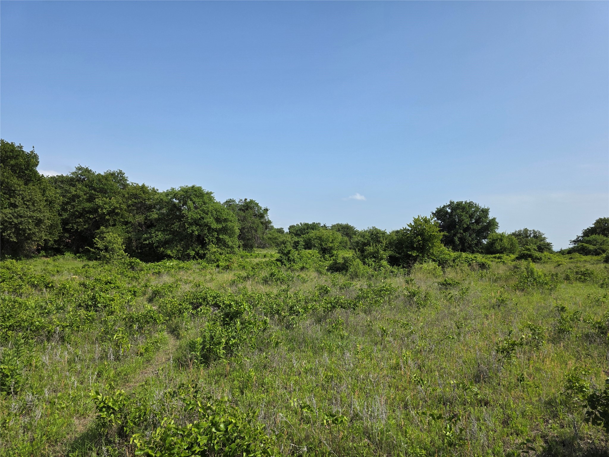 375 Ea Road Comanche TX 76442