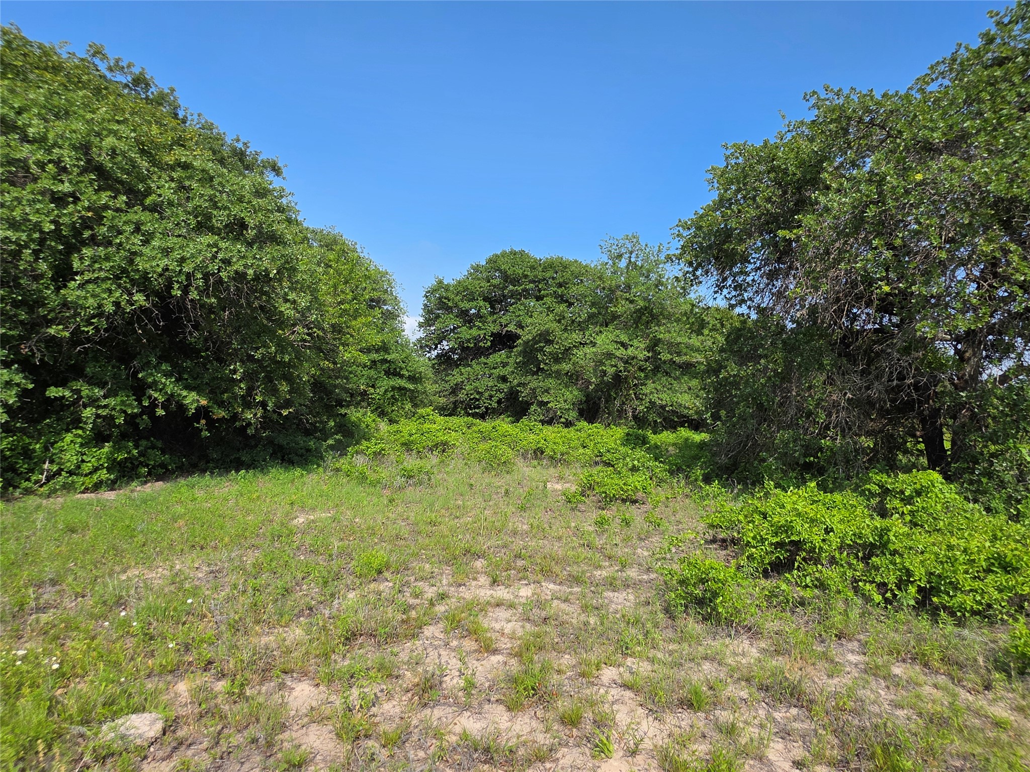 375 Ea Road Comanche TX 76442