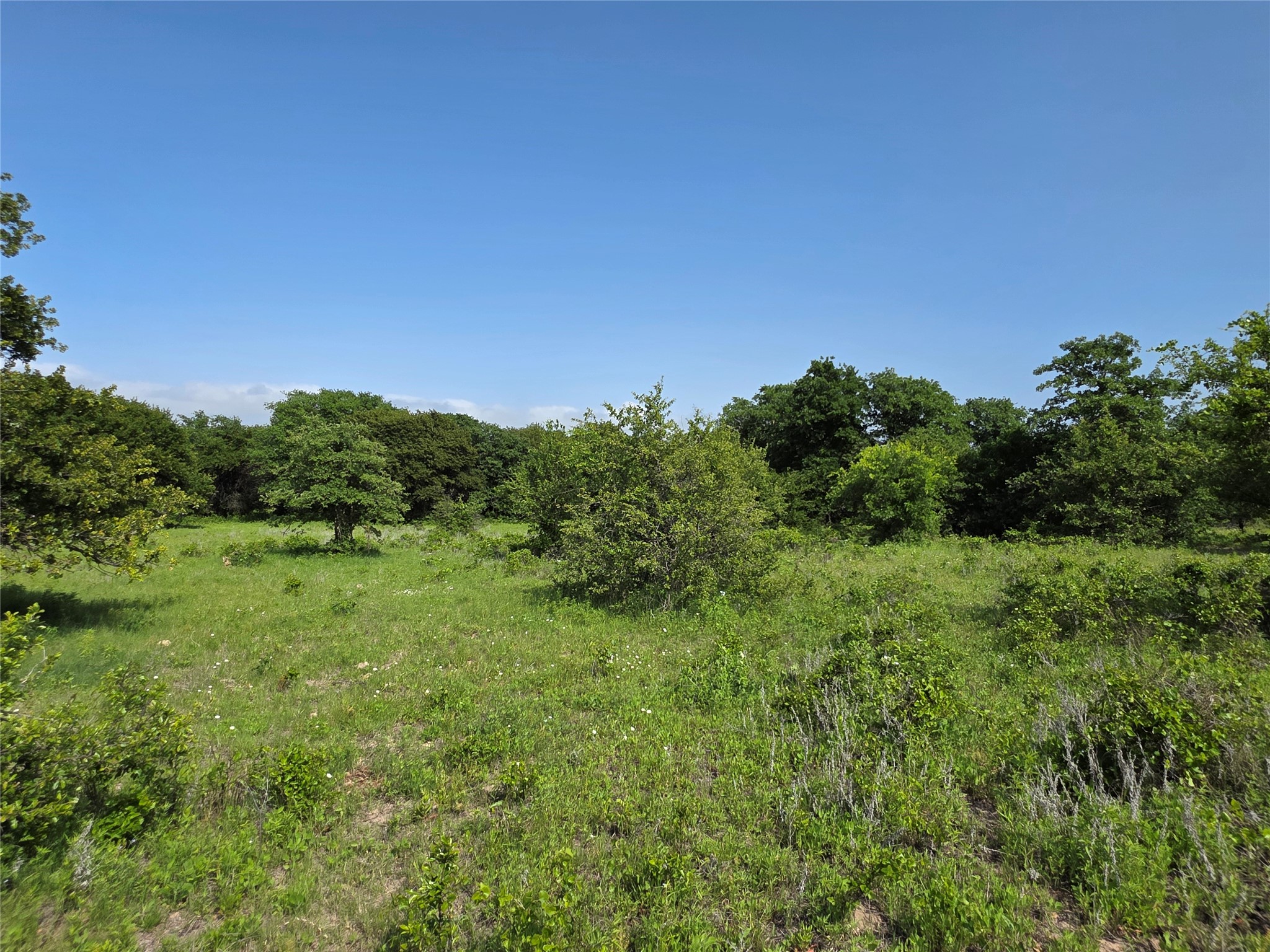 375 Ea Road Comanche TX 76442