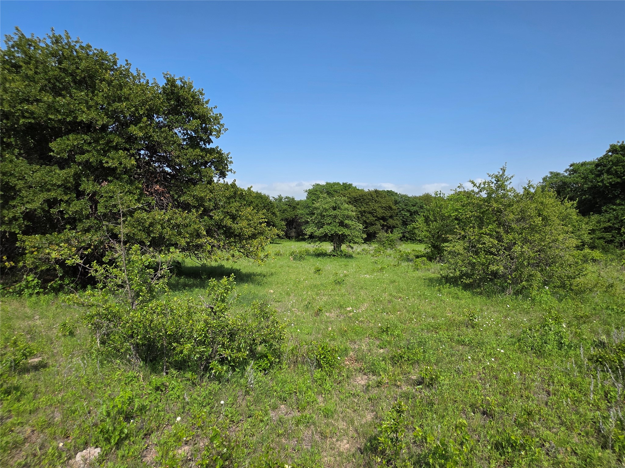 375 Ea Road Comanche TX 76442