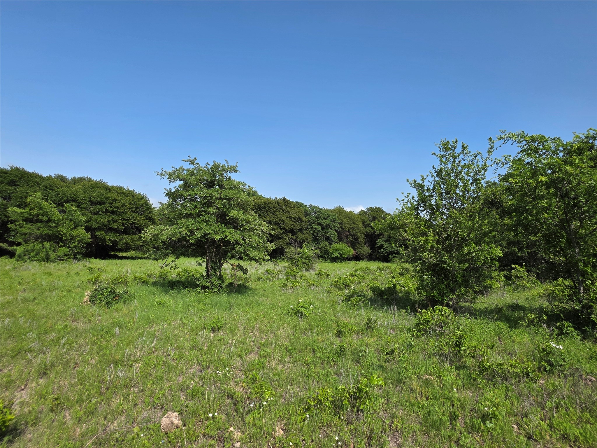 375 Ea Road Comanche TX 76442