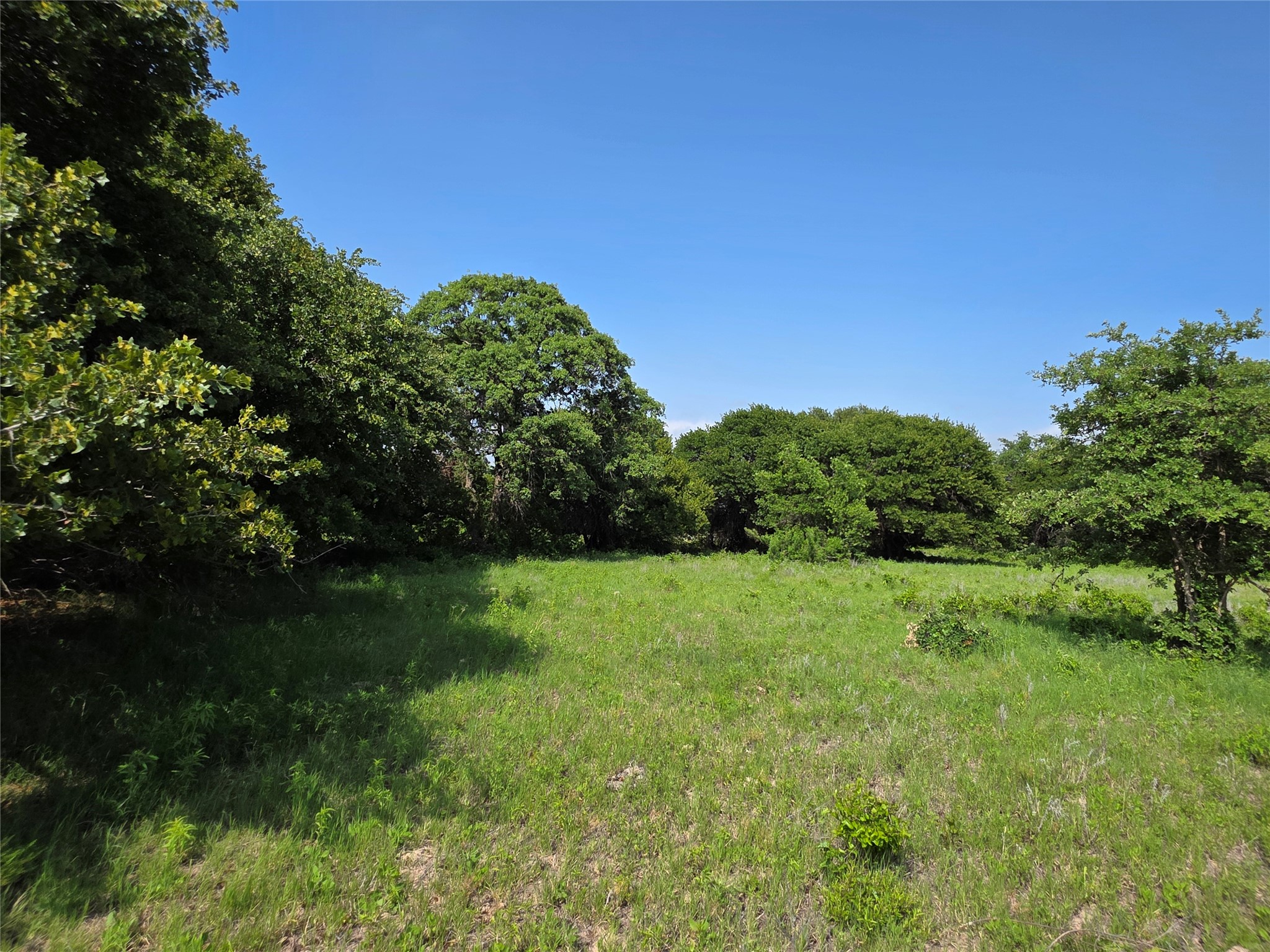 375 Ea Road Comanche TX 76442
