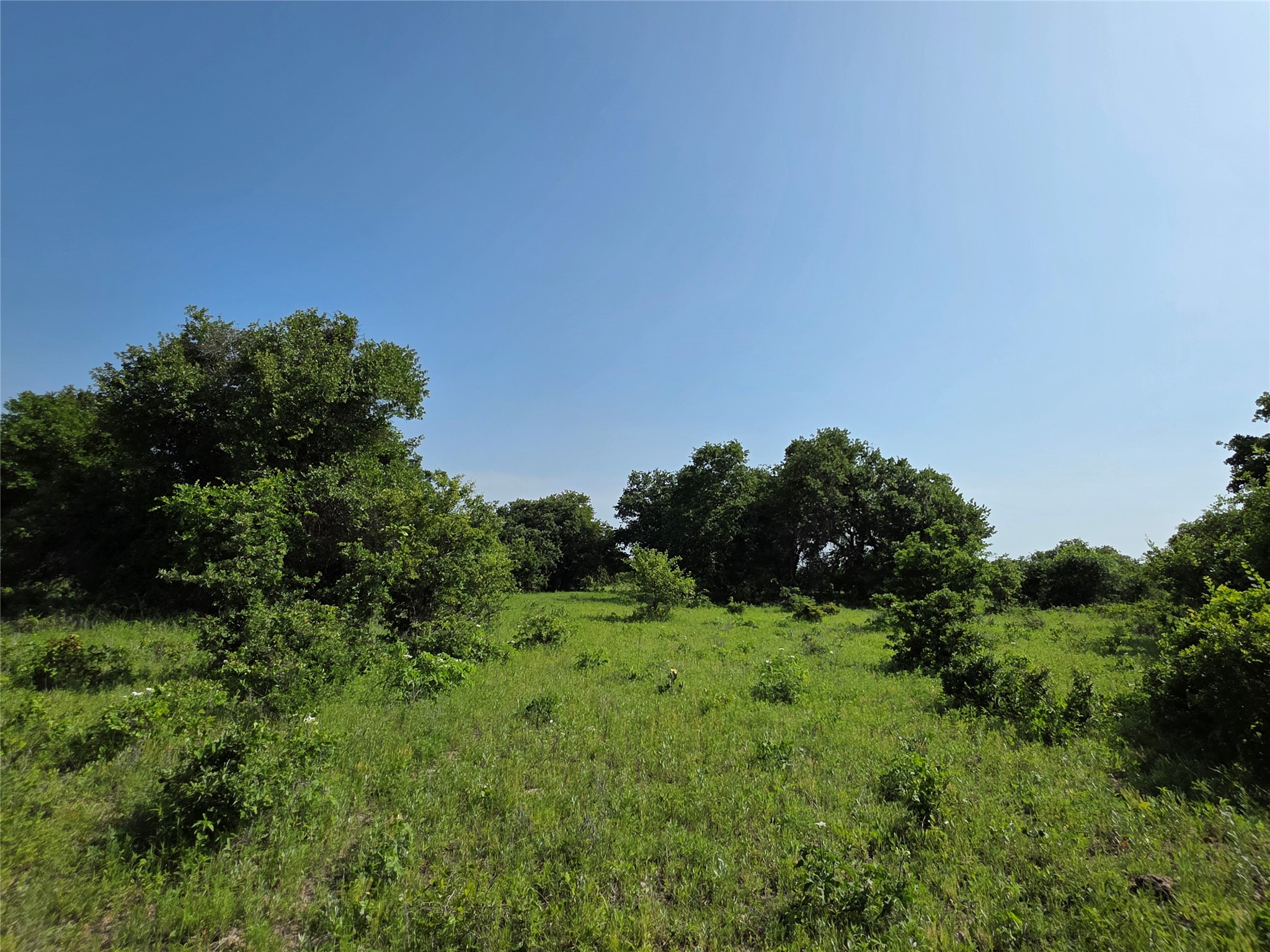 375 Ea Road Comanche TX 76442