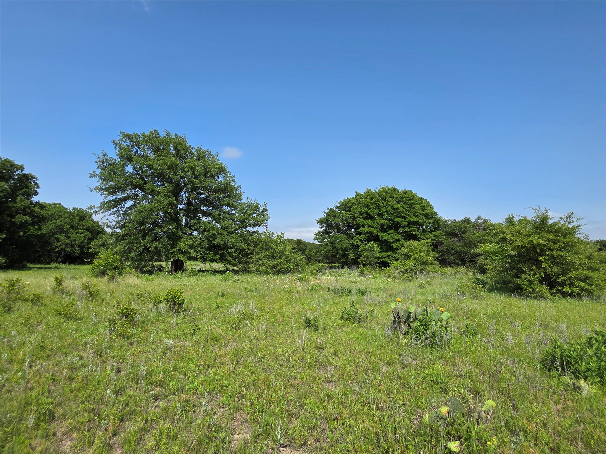 375 Ea Road Comanche TX 76442