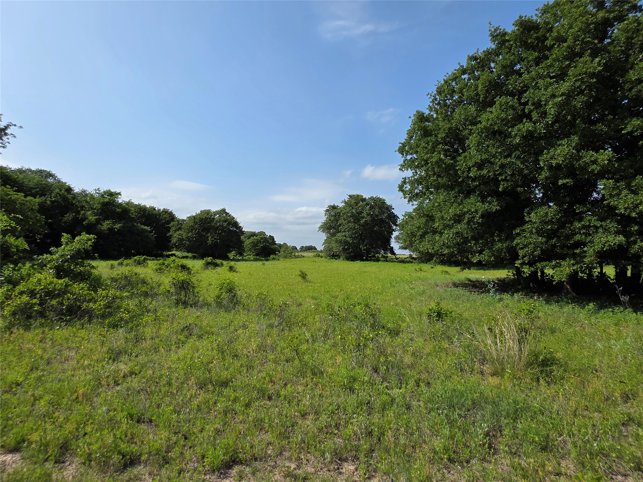 375 Ea Road Comanche TX 76442