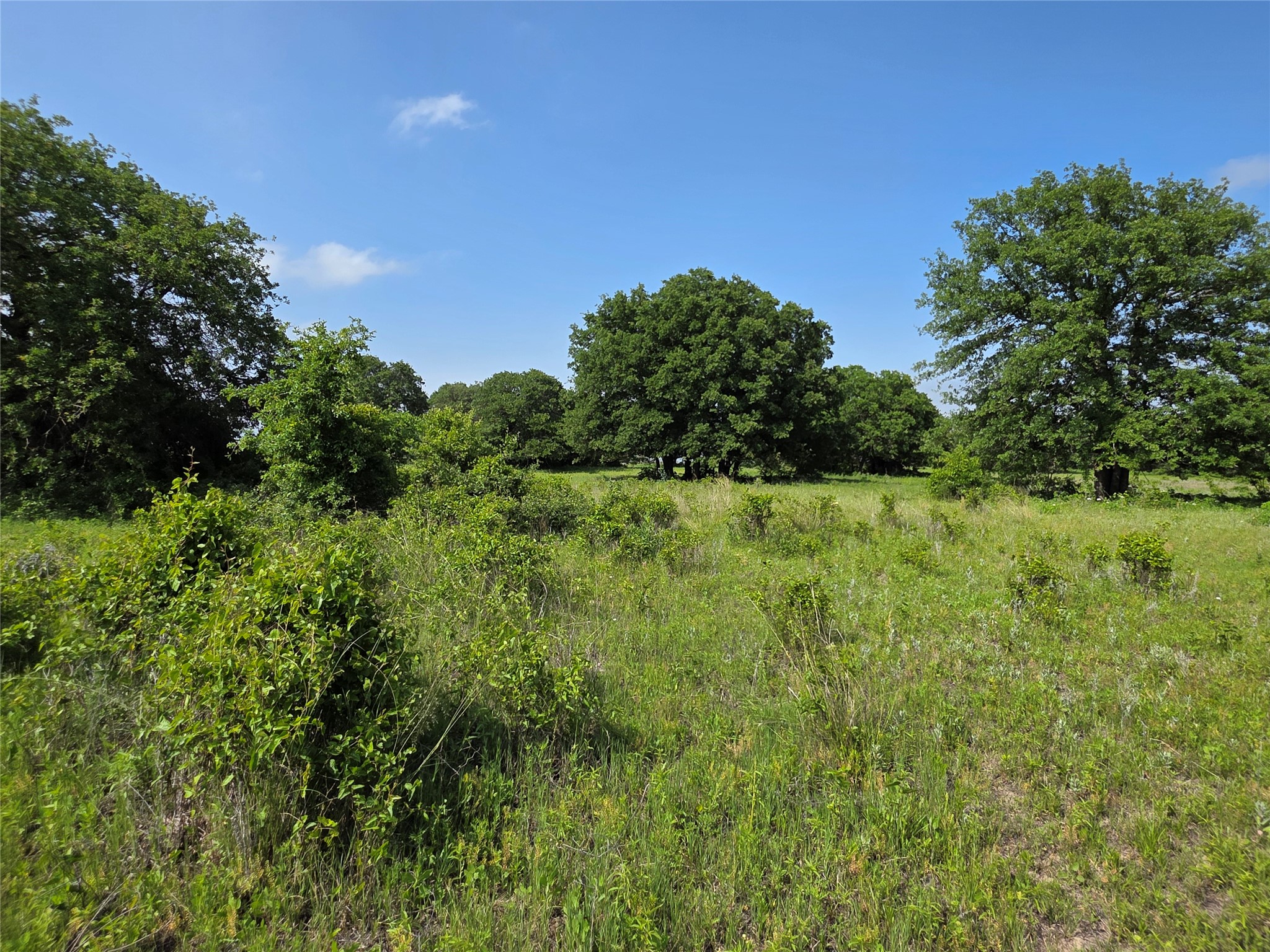 375 Ea Road Comanche TX 76442