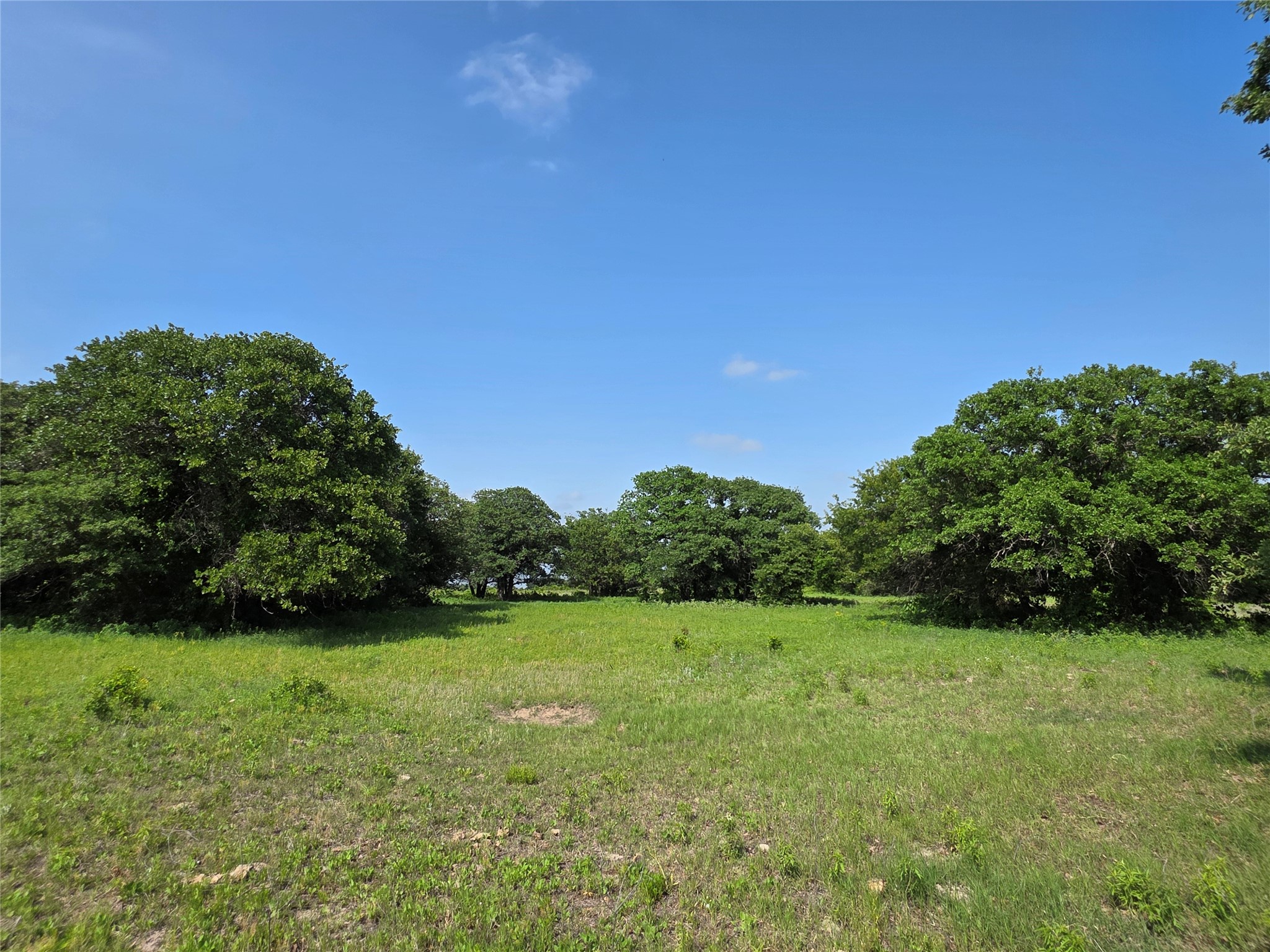 375 Ea Road Comanche TX 76442