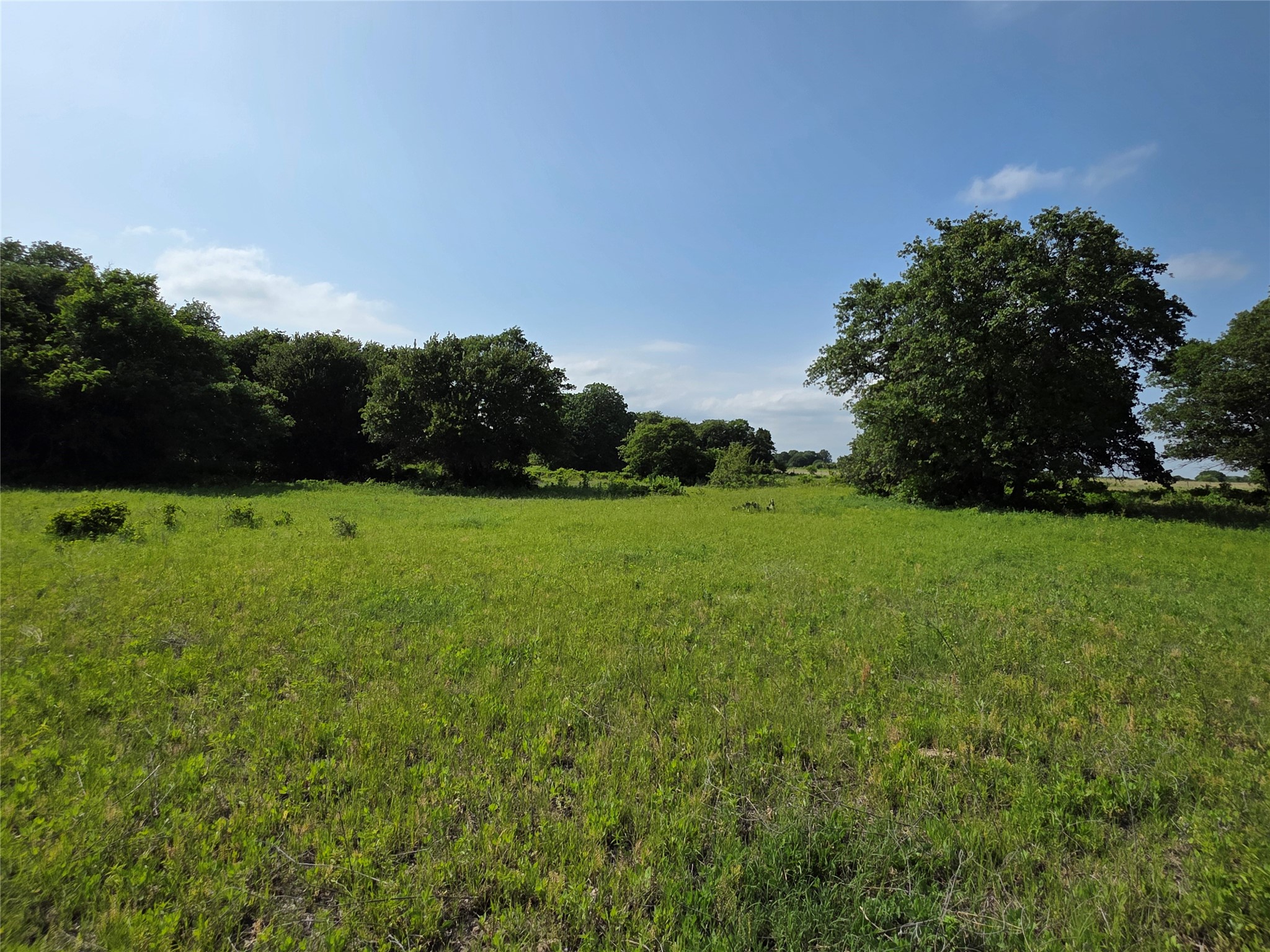375 Ea Road Comanche TX 76442